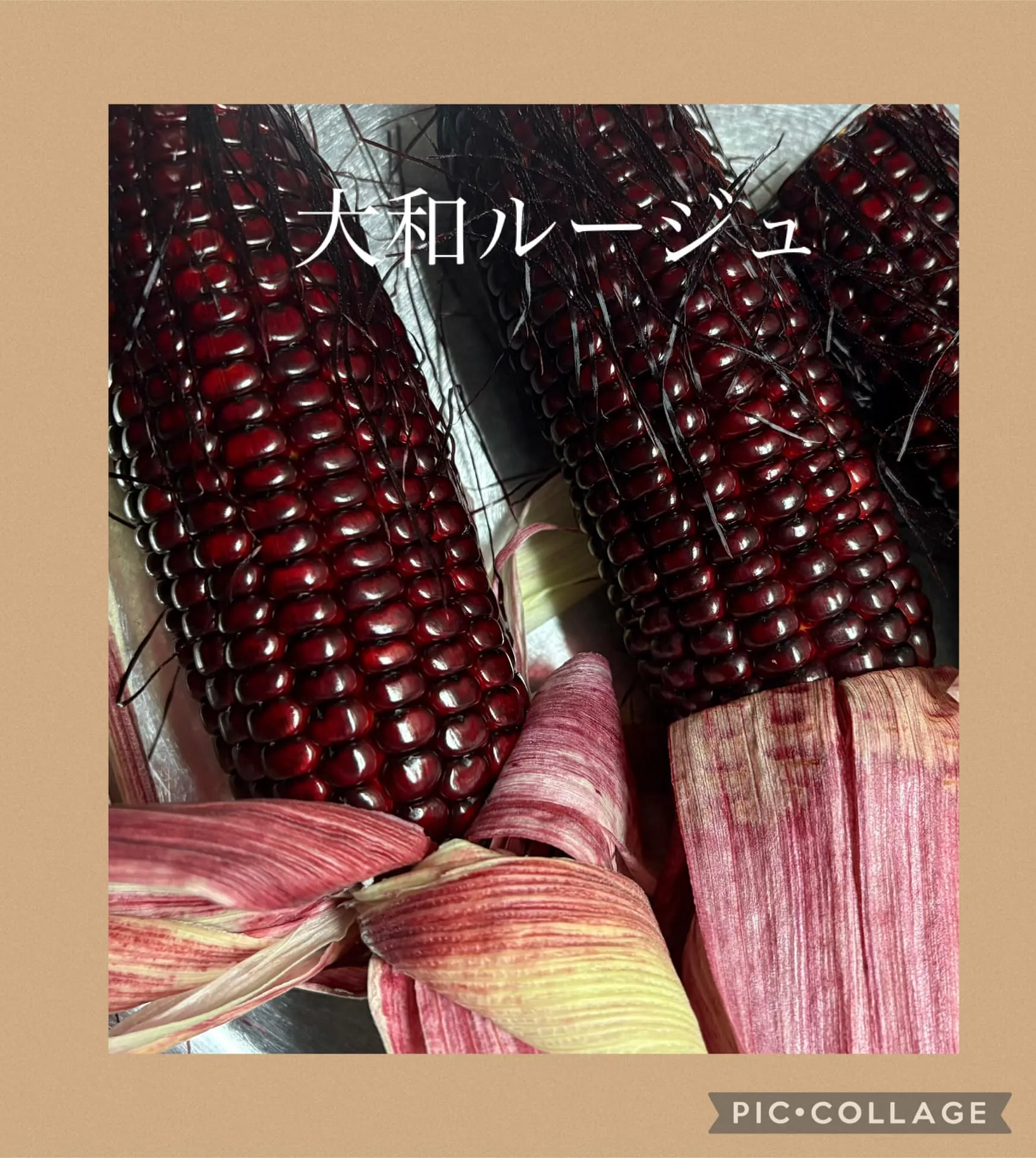 🌽大和ルージュ購入、この時期に‼️