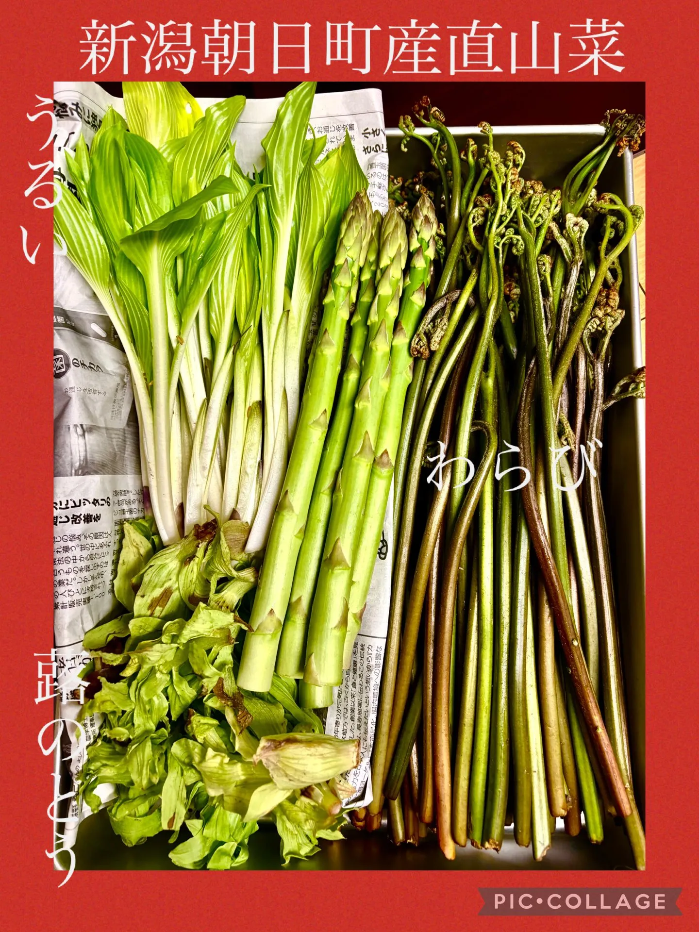 今日の賄い飯🍚🥢