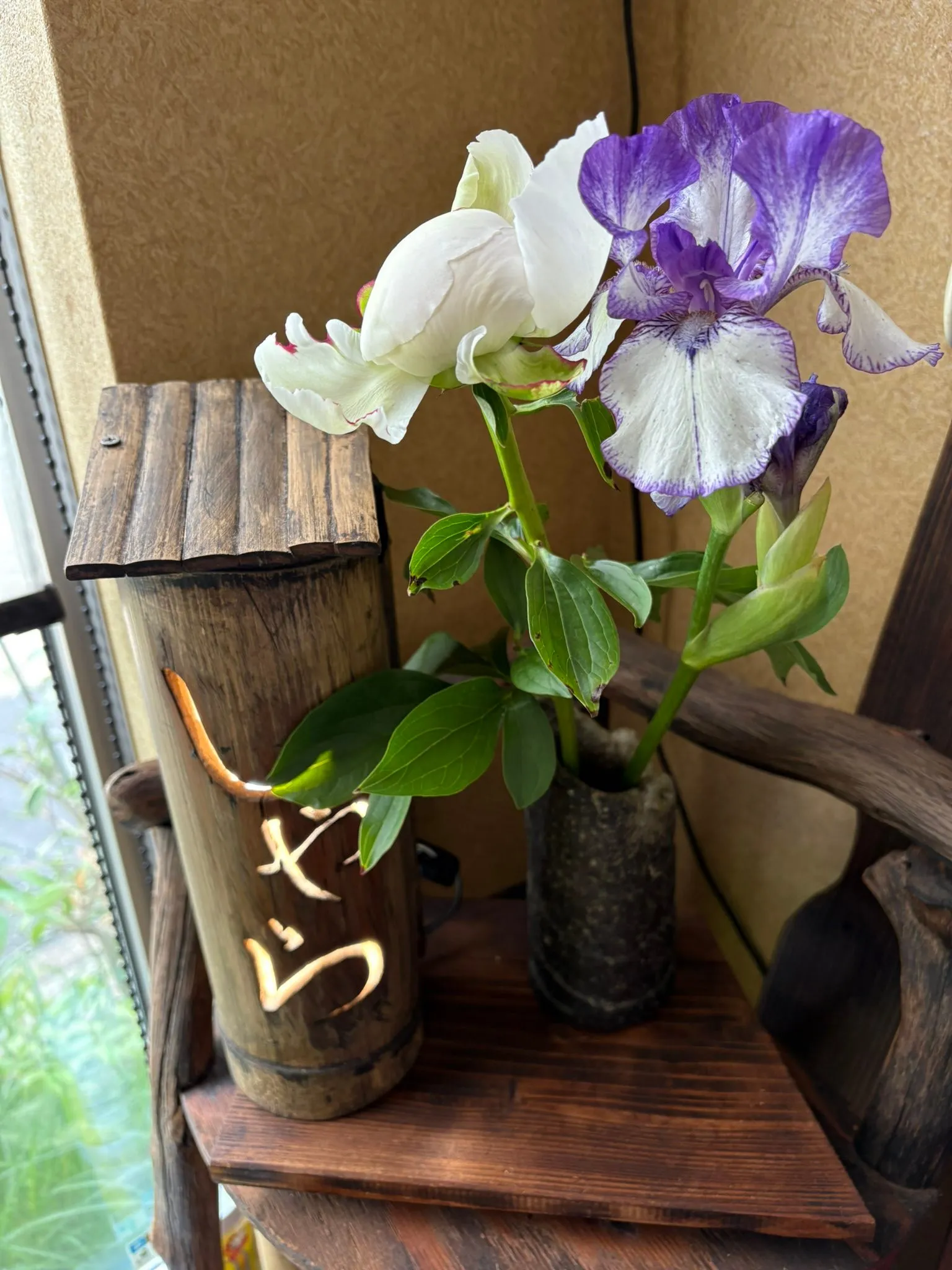 新潟朝日町わらび重曹灰汁抜き完了