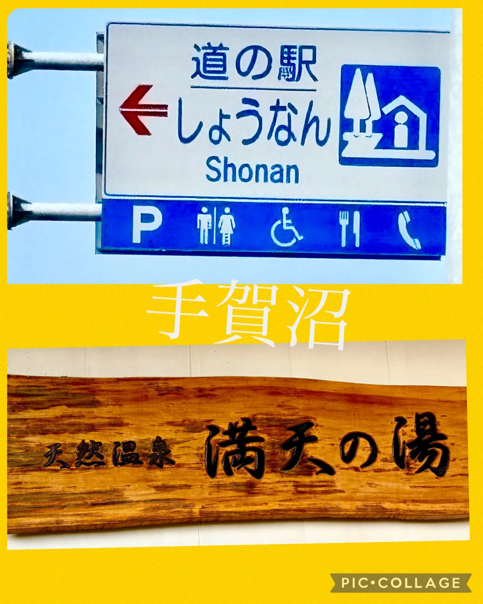 🌿新潟山古志山菜こごみ、山独活届きました