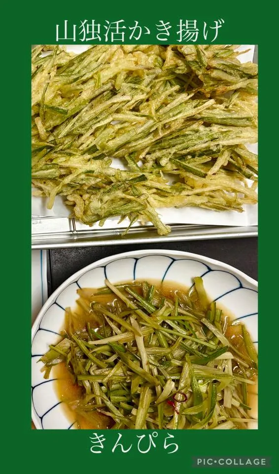 🫖金彩加工お気に入り急須