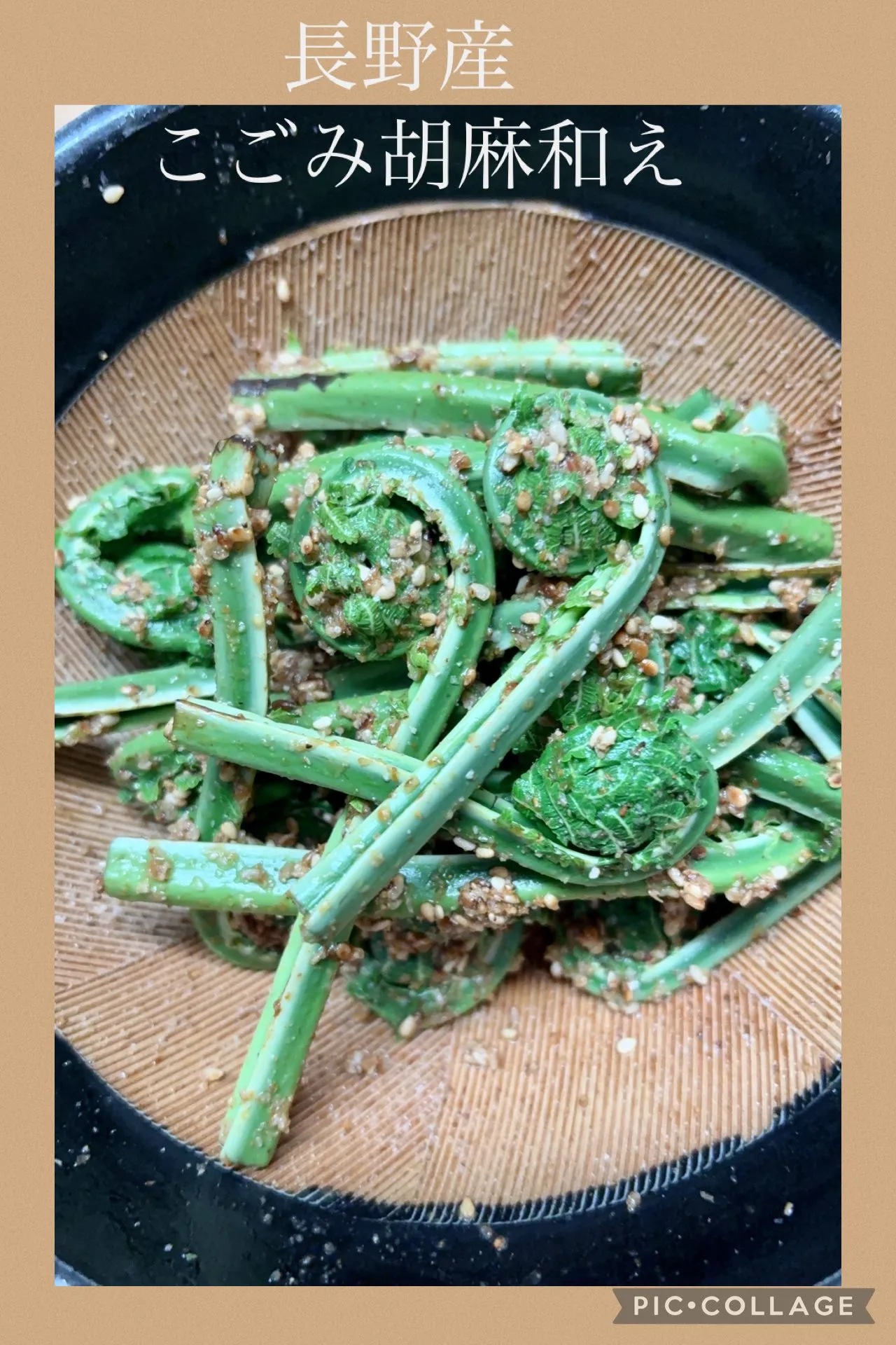 🍃成長した山紫陽花