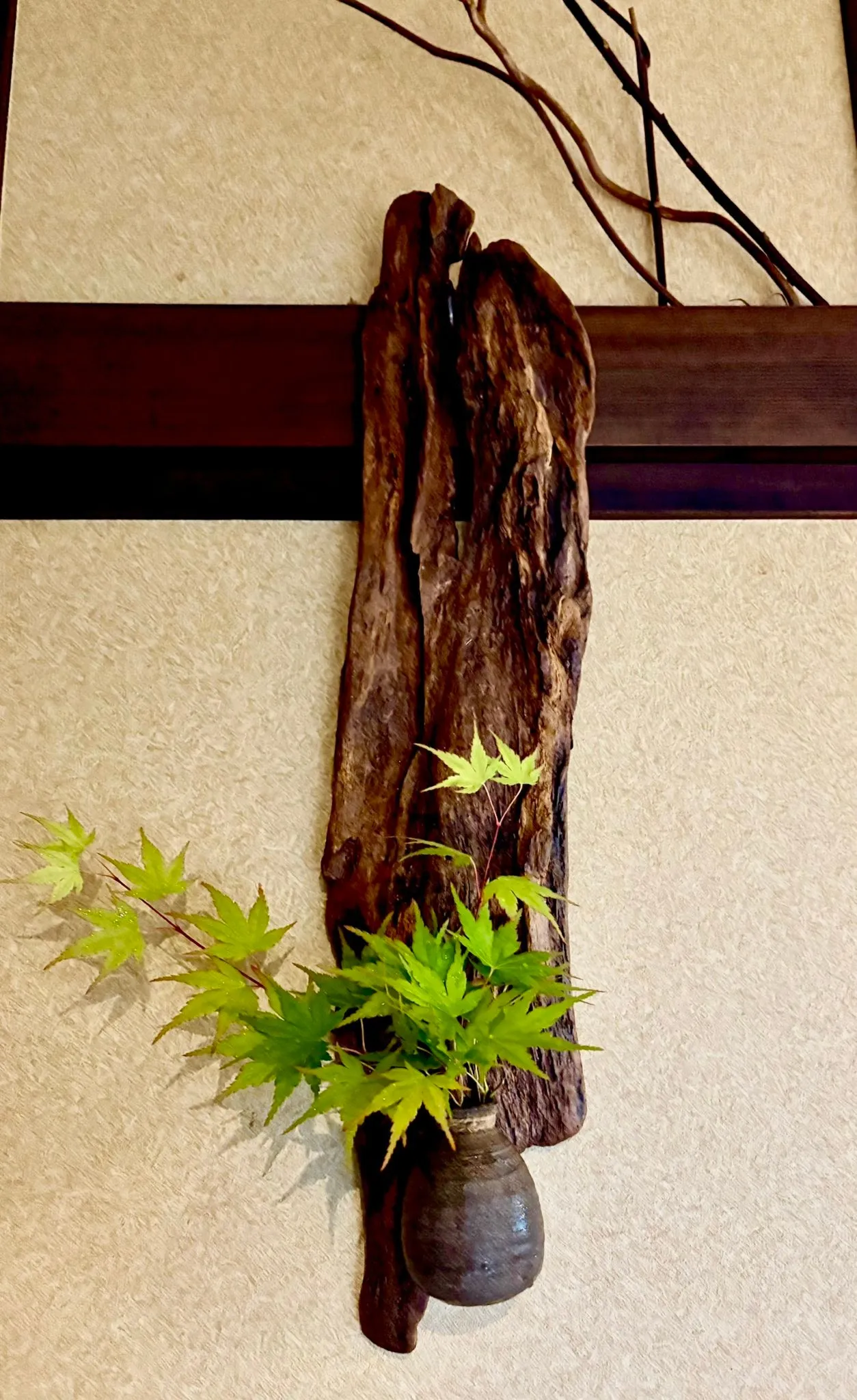 🫖アケビ蔓土瓶