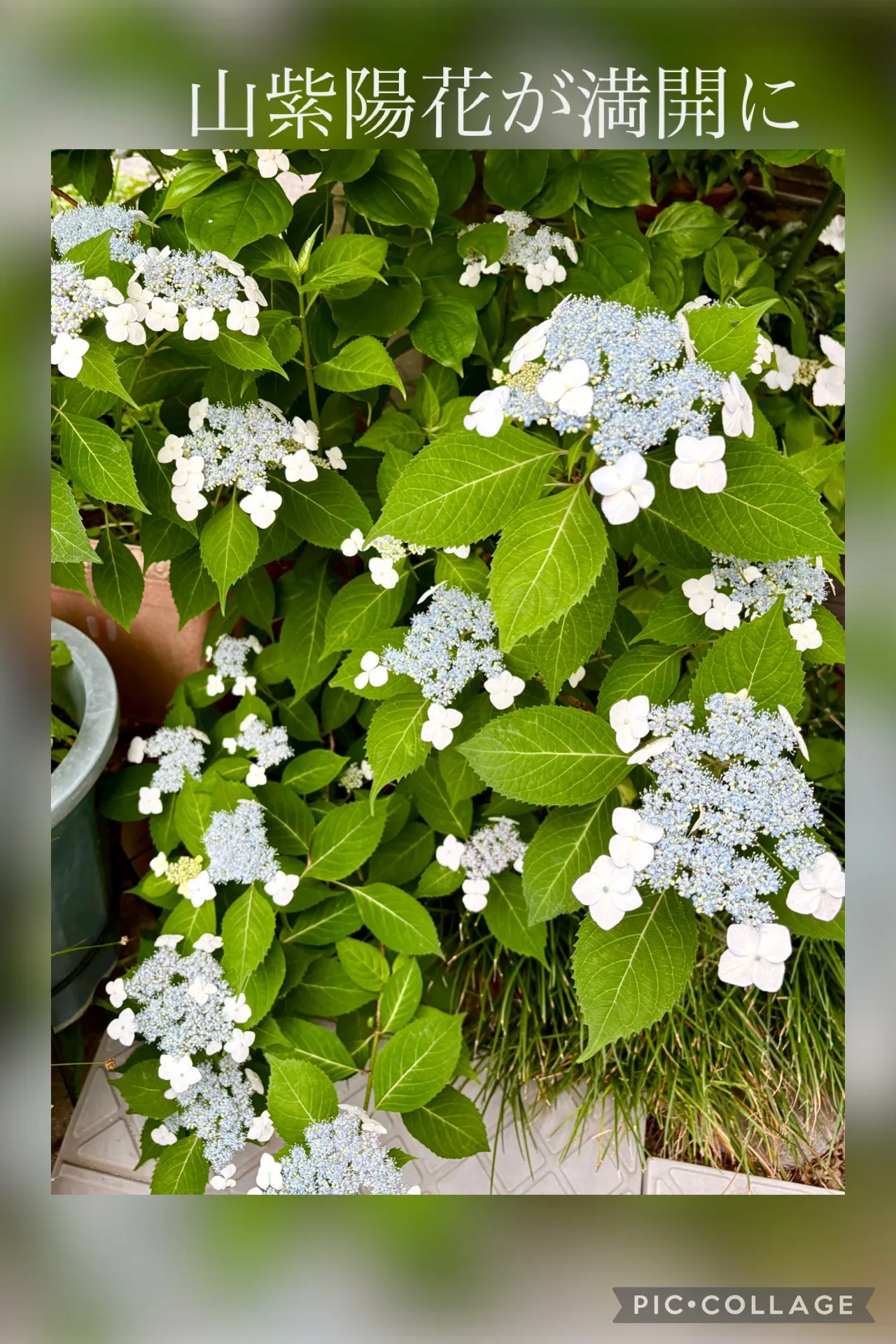 ☕️退院翌朝食友人から届く🎶