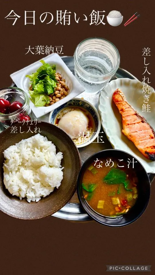 梅花香　網戸から香りが漂って来ます🤗