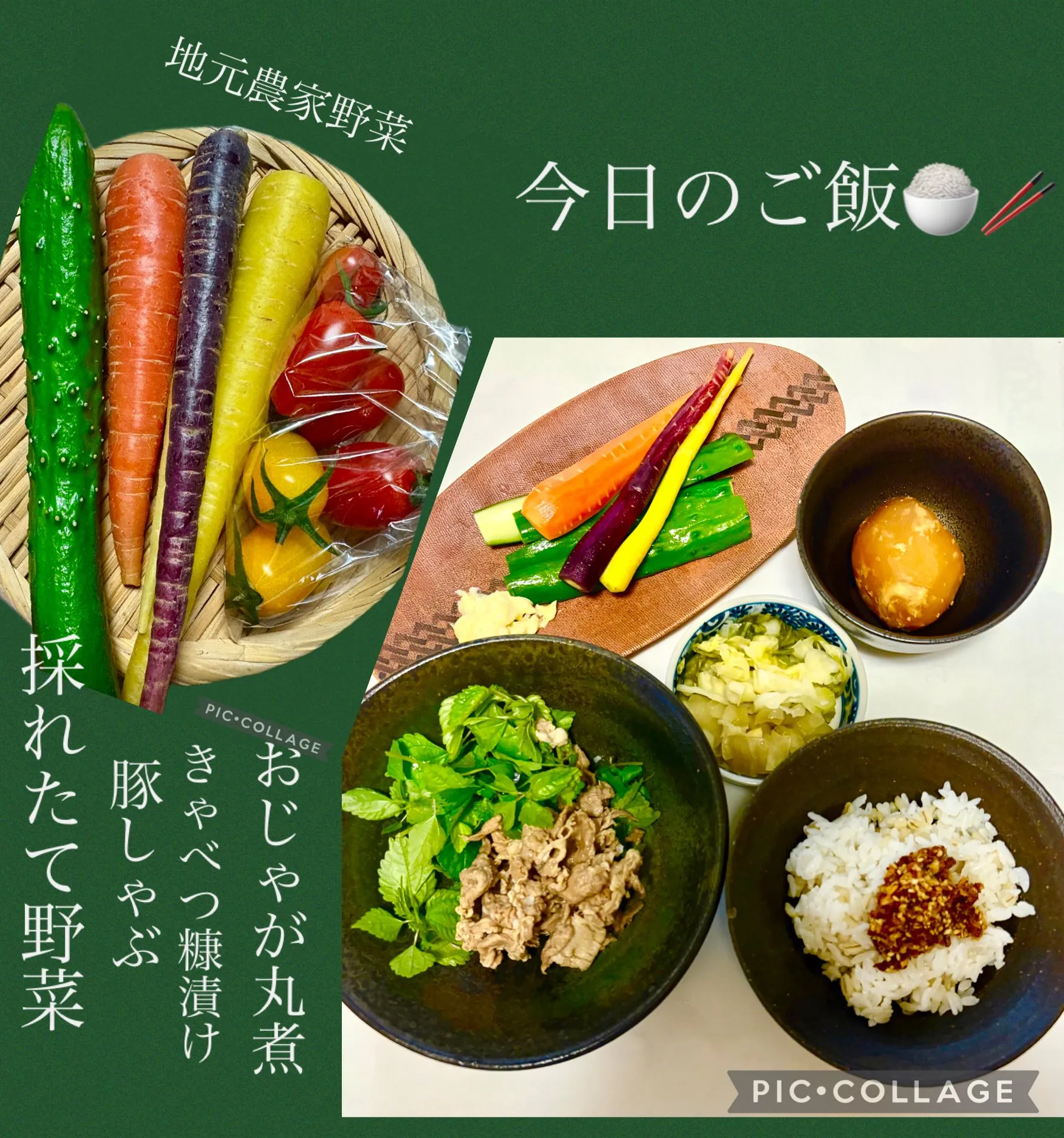 🎁ドライなつめ頂きました