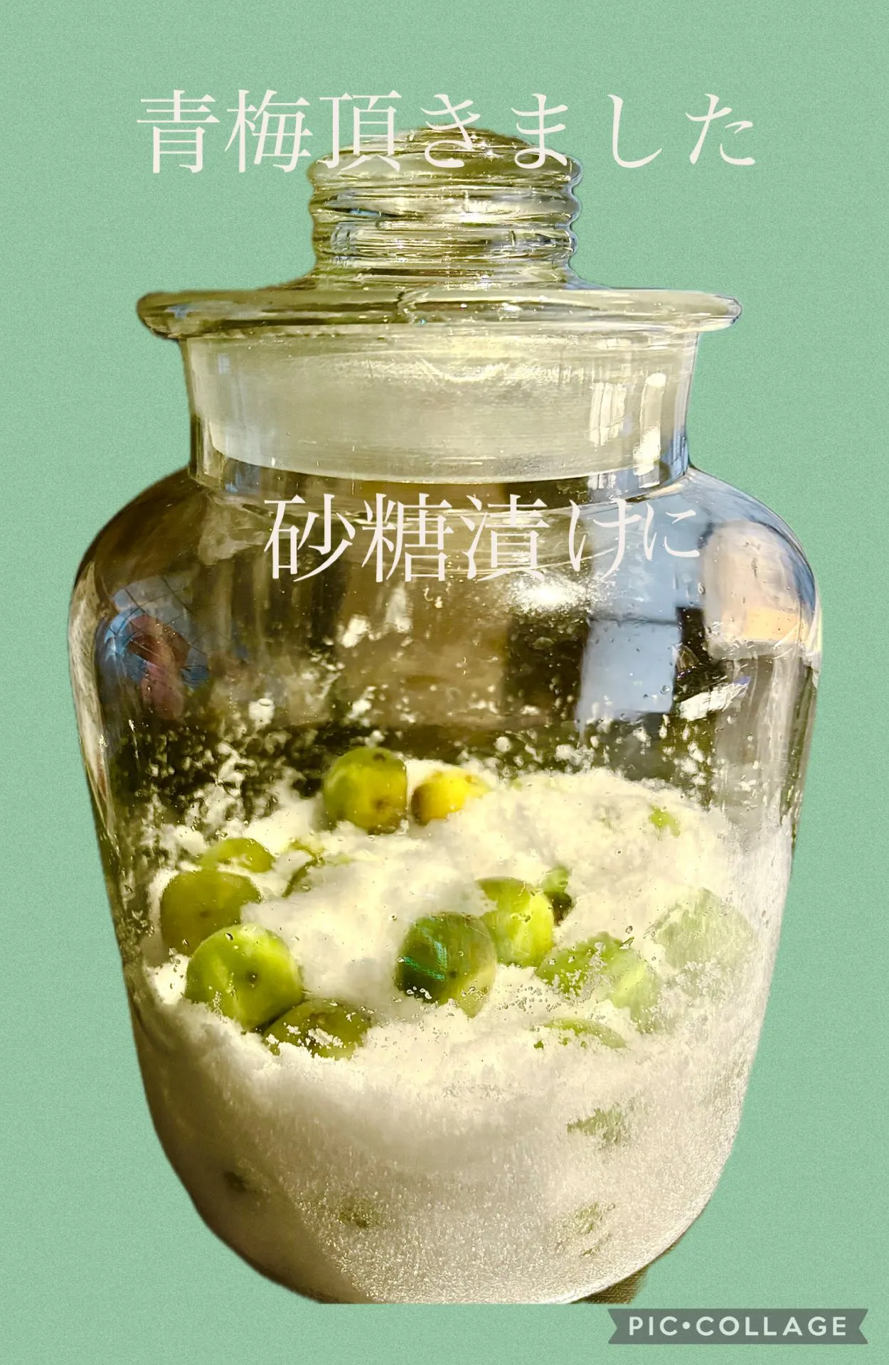 🍚今日の昼飯在庫飯🥢