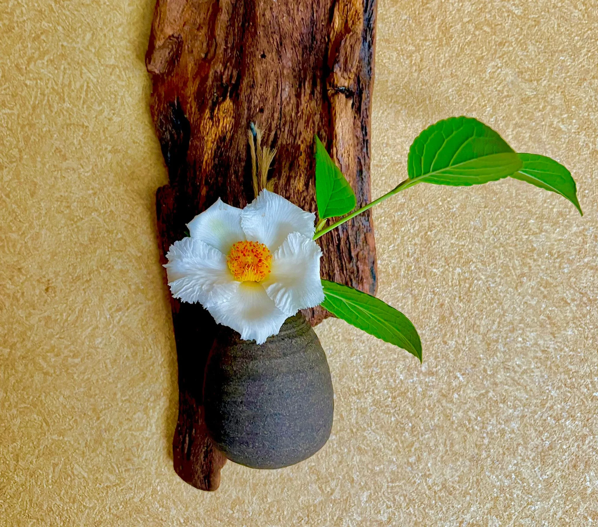 🍚今日の昼飯🥢