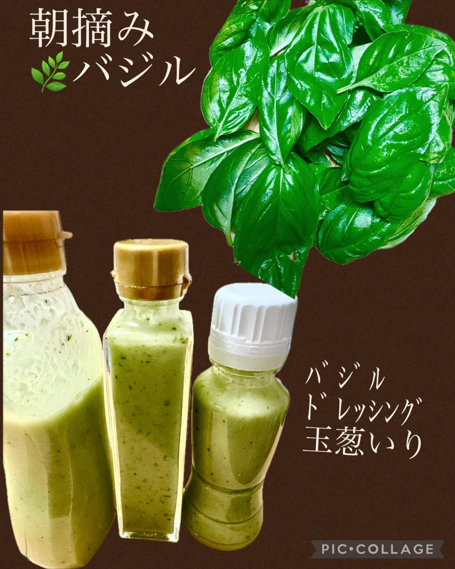 🌿朝摘みﾊﾞｼﾞﾙを頂き、ﾄﾞﾚｯｼﾝｸﾞに