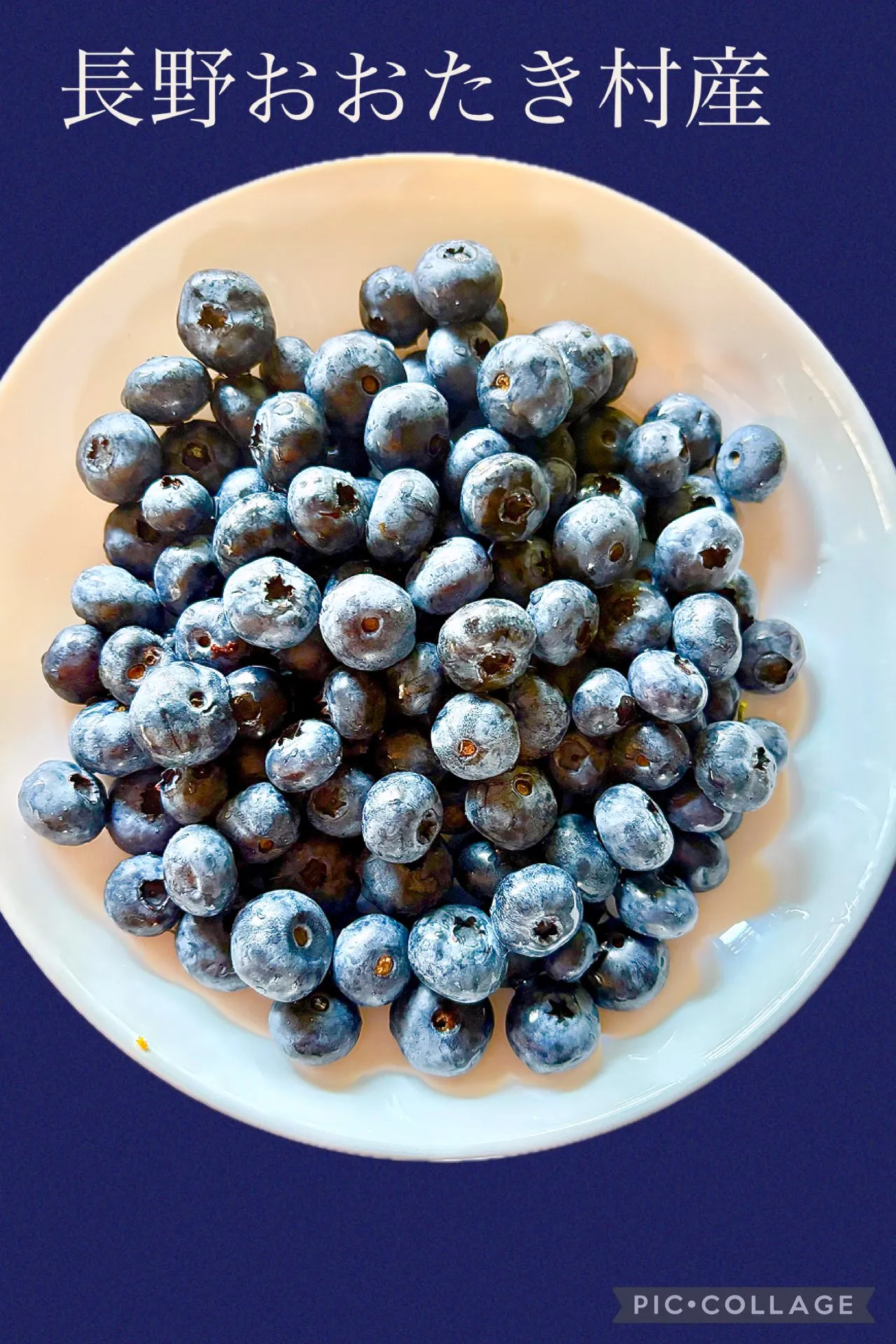 🫐長野おおたき産ブルーベリー