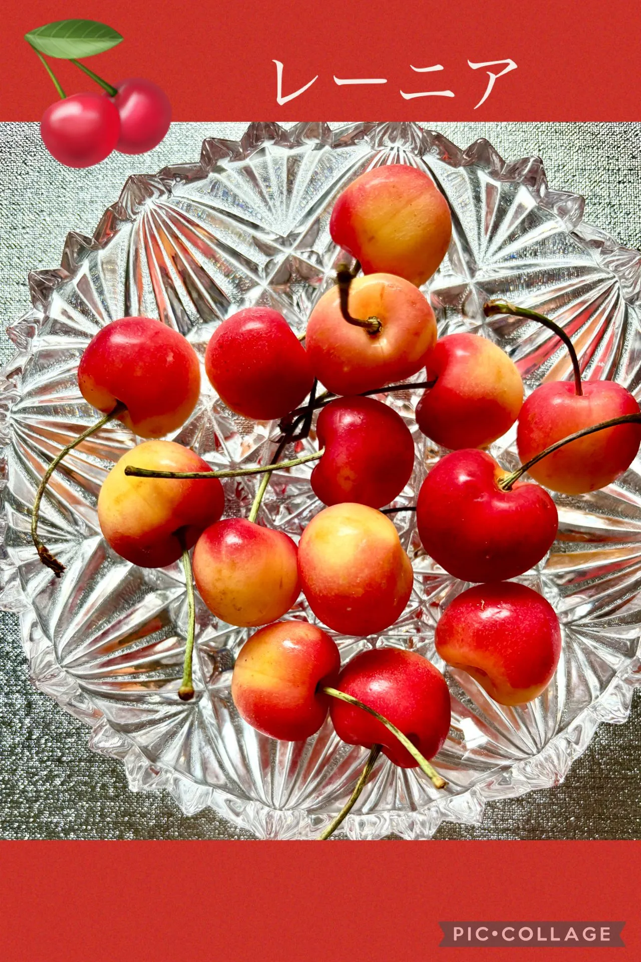 🥩インゲンたっぷりミートローフ