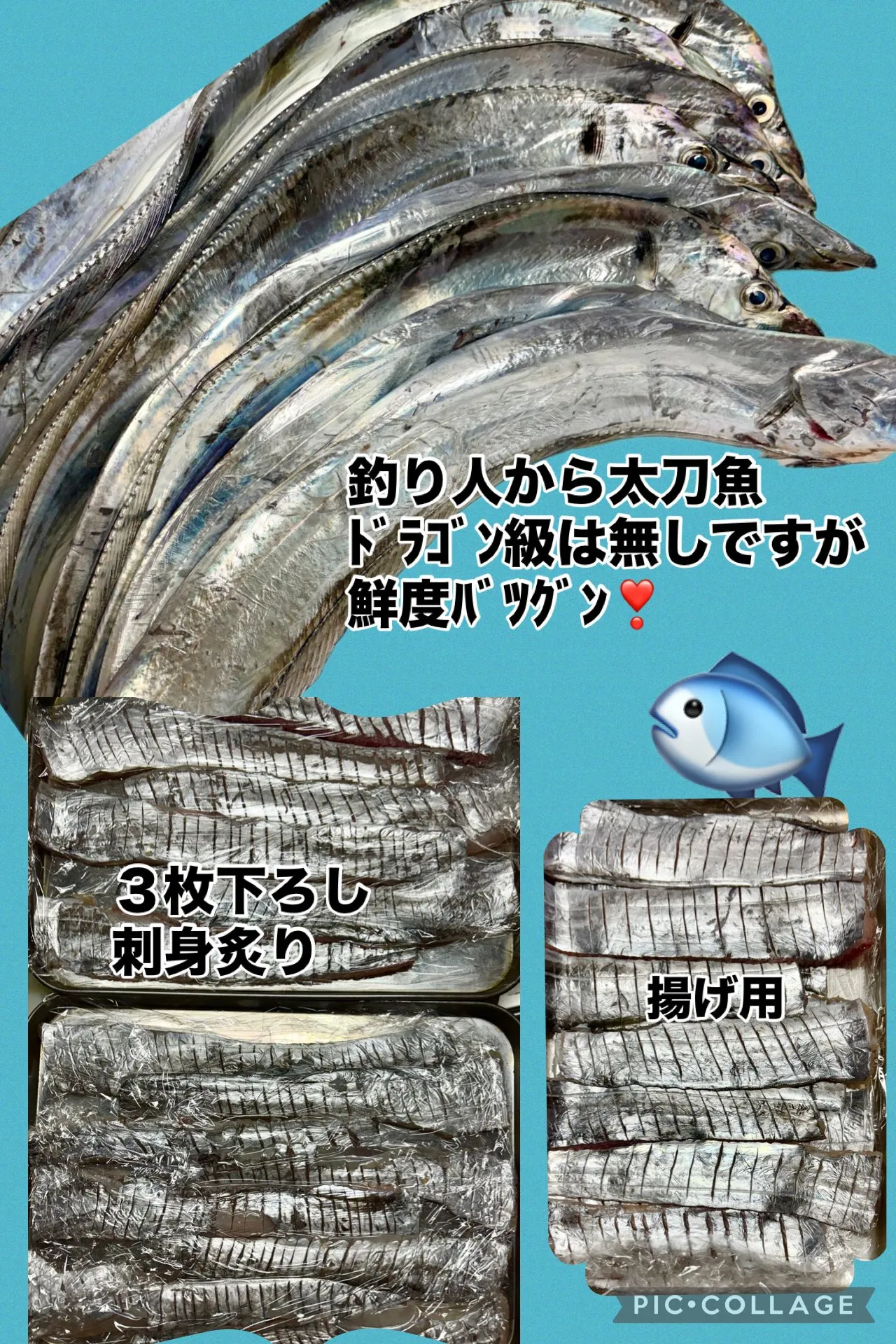 🐟夕方釣り人から1000度ﾊﾞﾂｸﾞﾝ太刀魚届く