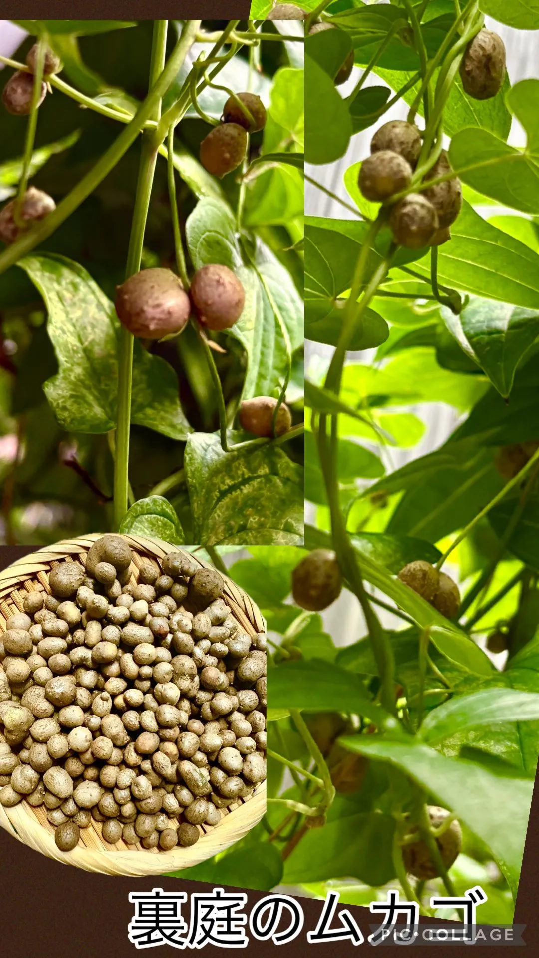 💦今日の賄い飯　夏疲れ回復飯🍚🥢