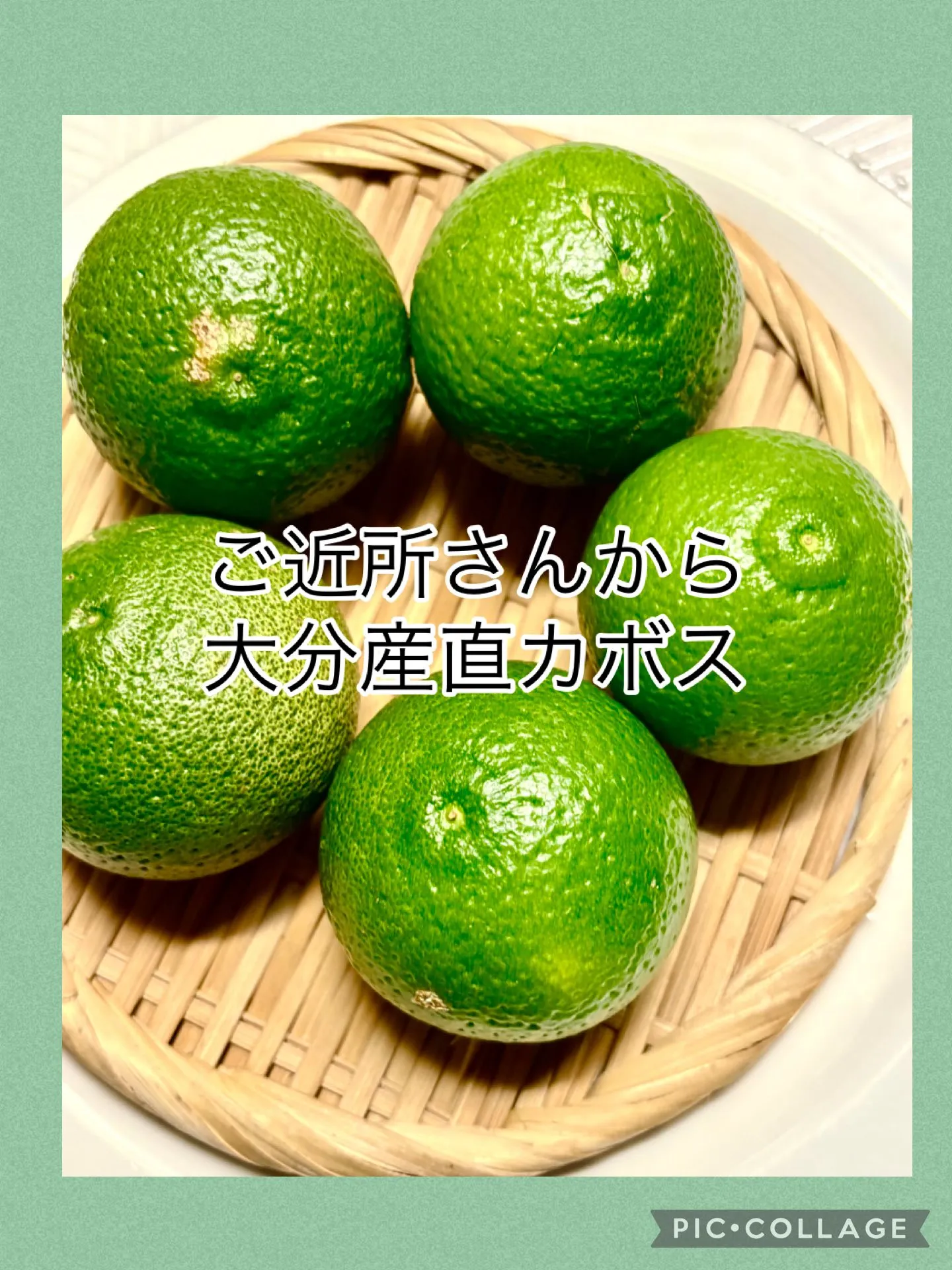 🎁ご近所さんから大分産直カボス