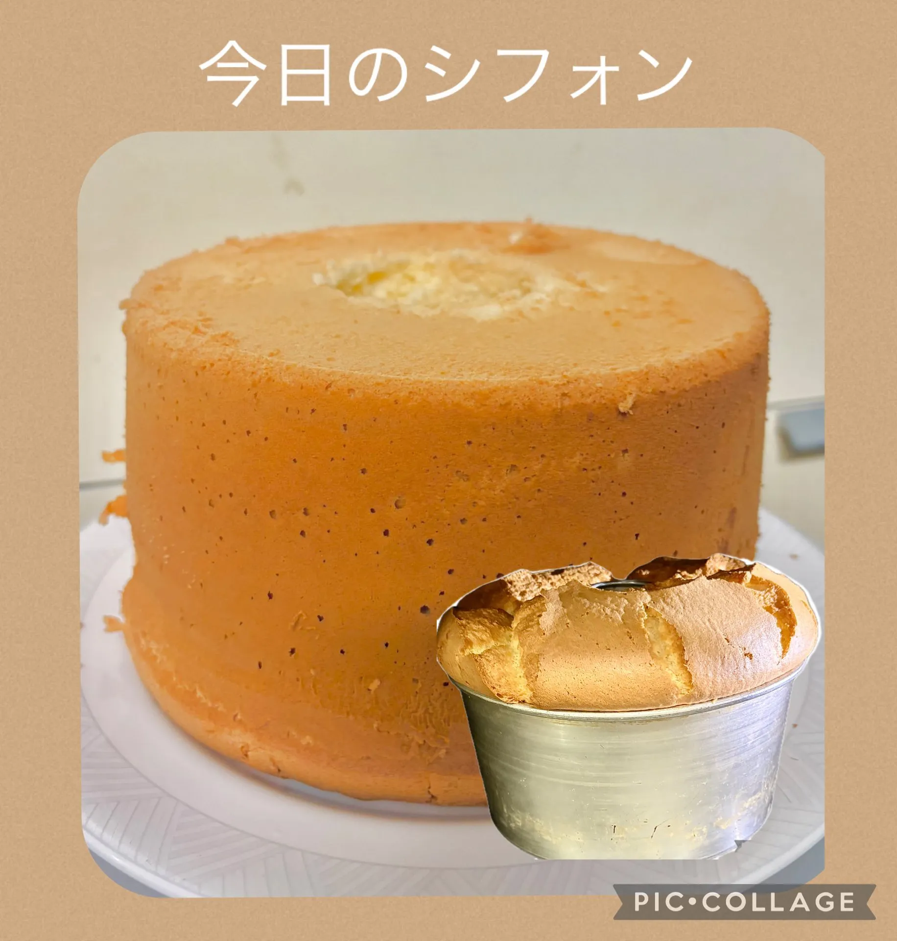 🍽️ﾌﾟﾚｰﾄﾗﾝﾁ ➕ ☕️ｼﾌｫﾝｹｰｷ
