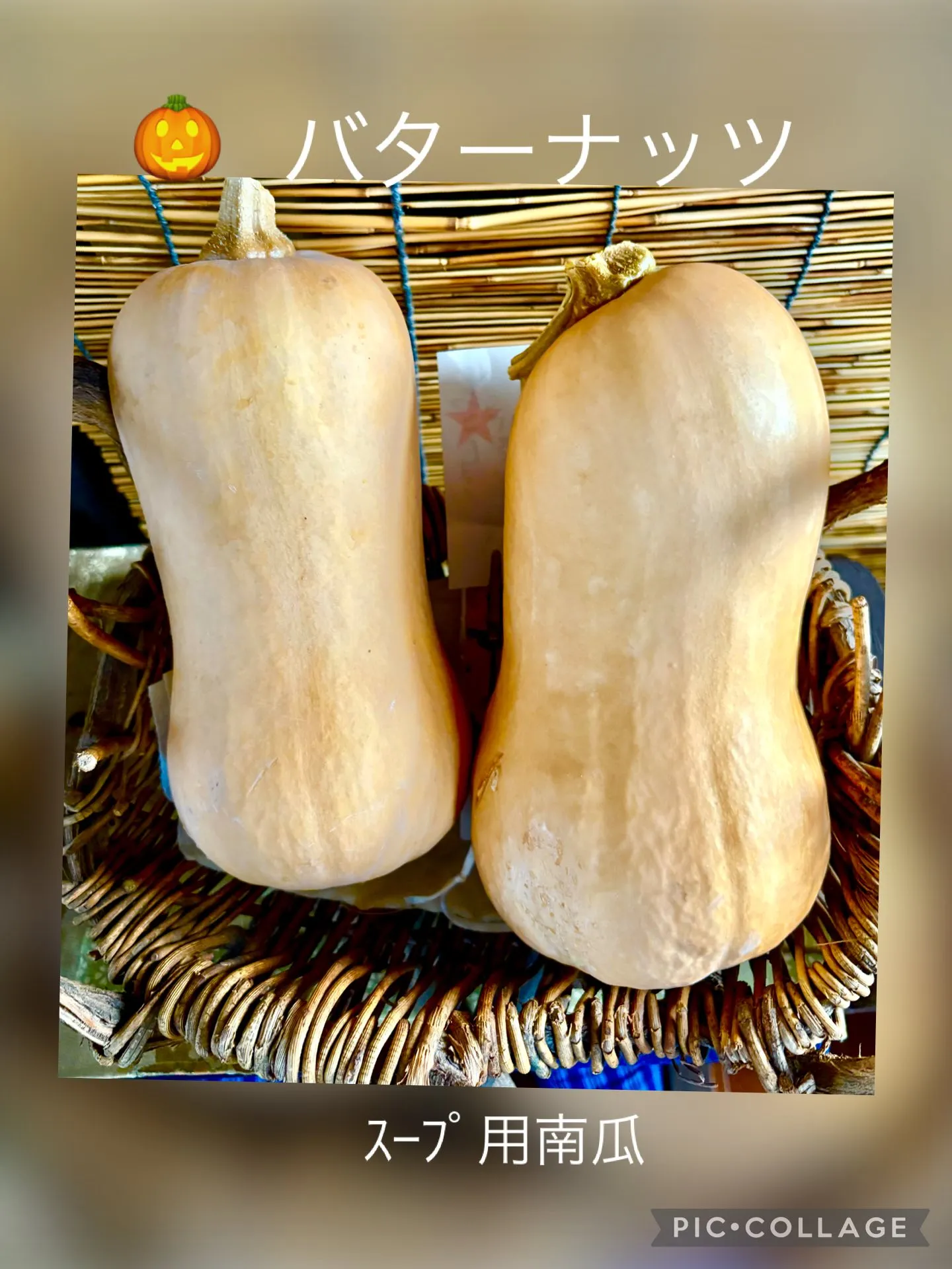 🍚今日の賄い飯🥢