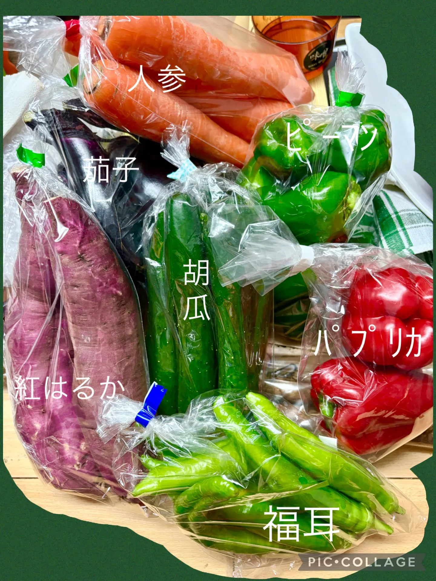 🚘今日は道の駅巡り群馬県へ