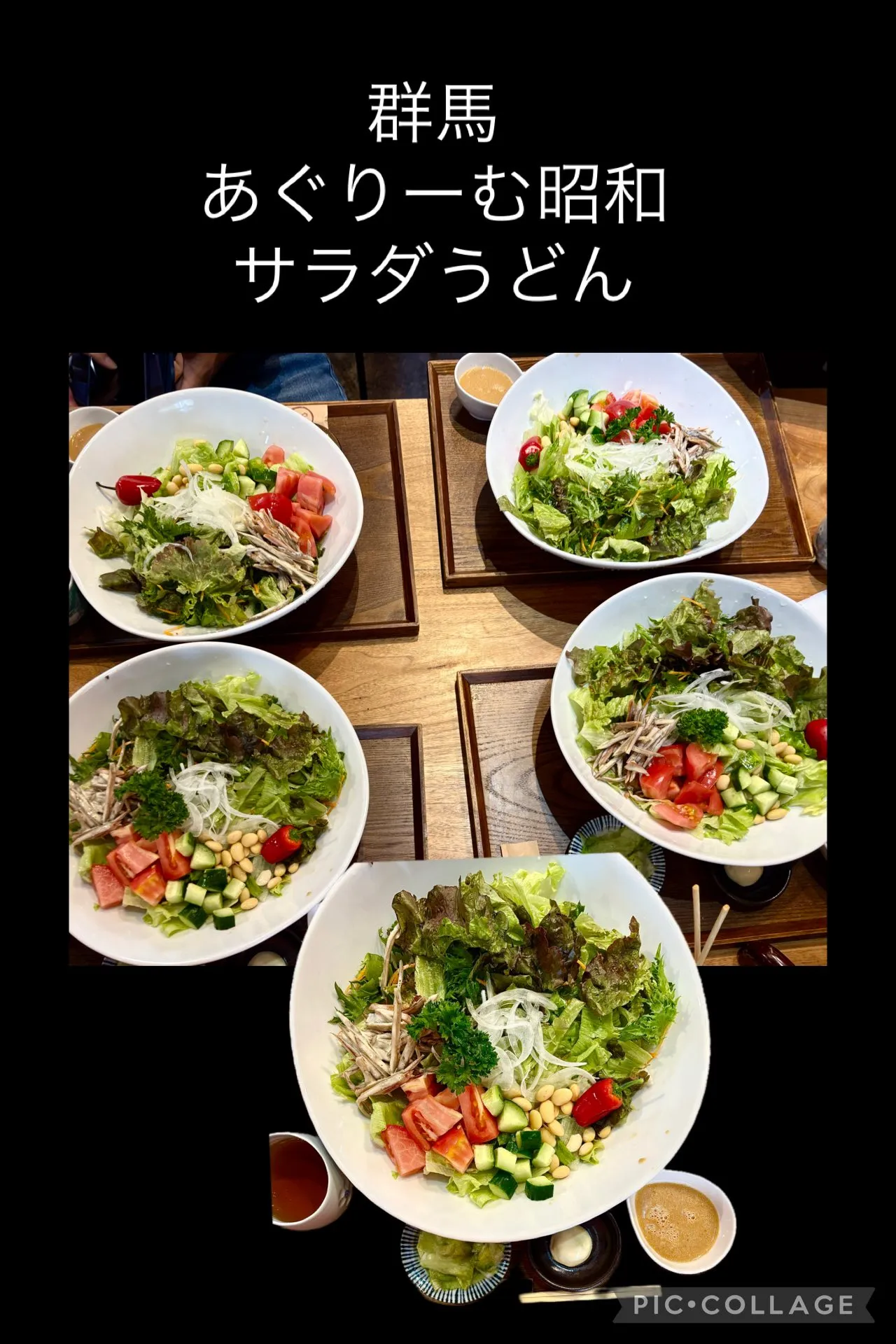 🚘今日は道の駅巡り群馬県へ