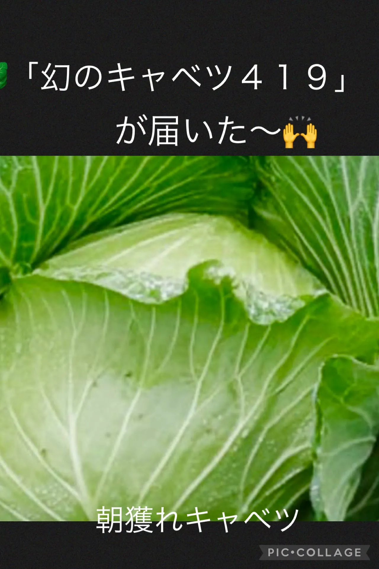 今日の賄い飯🍚🥢