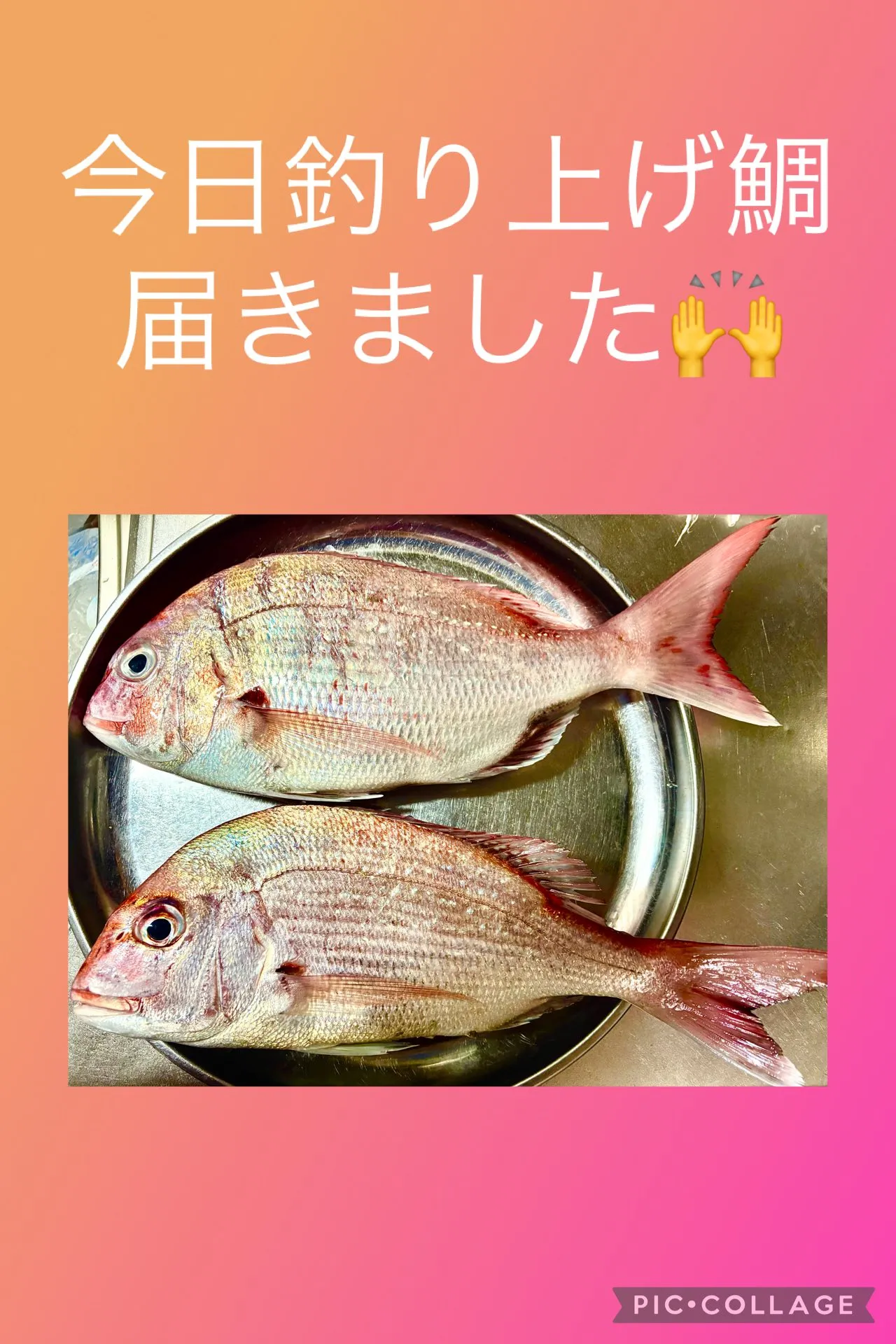 ๐ฃไปใไปๆฅ้ฃใไธใ้ฏใๅฑใใพใใ๐๐๐ถ