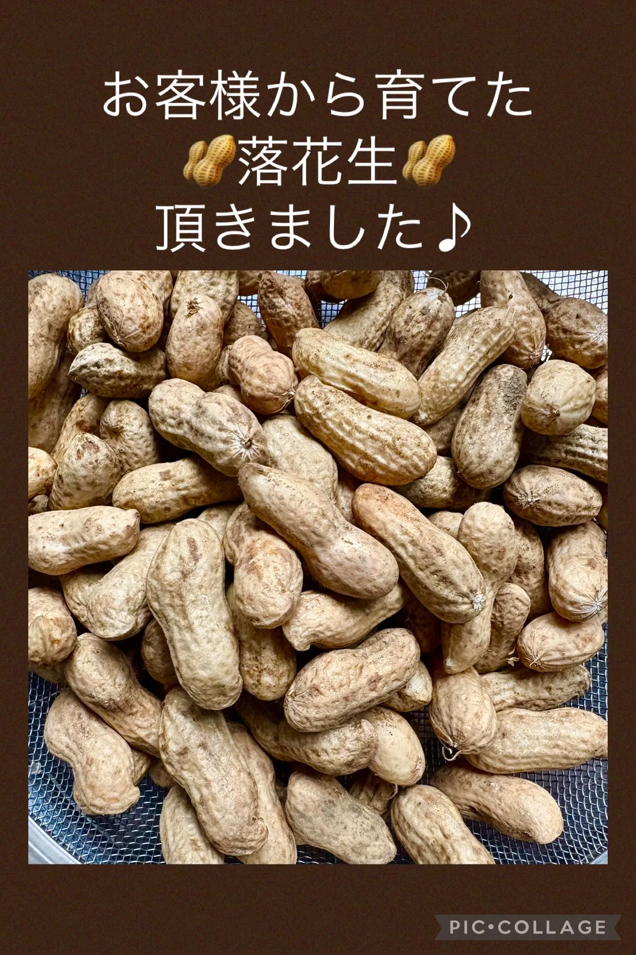 🥜お客様の育てた落花生🥜が届きました🙌