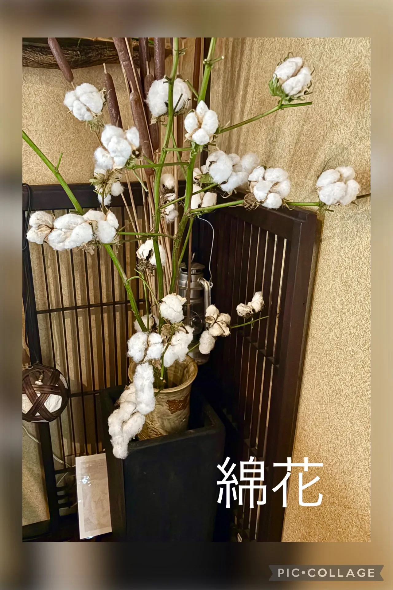 🍚今日の賄い飯　