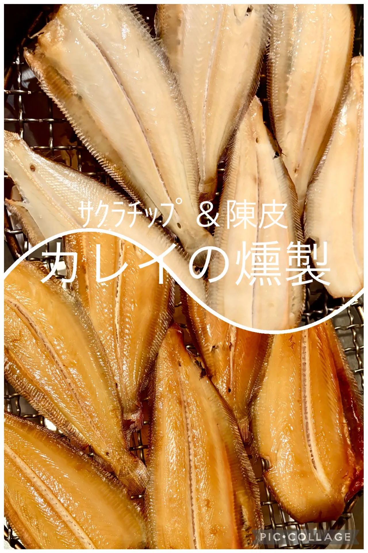 🐟カレイの燻製(ｻｸﾗﾁｯﾌﾟ陳皮)