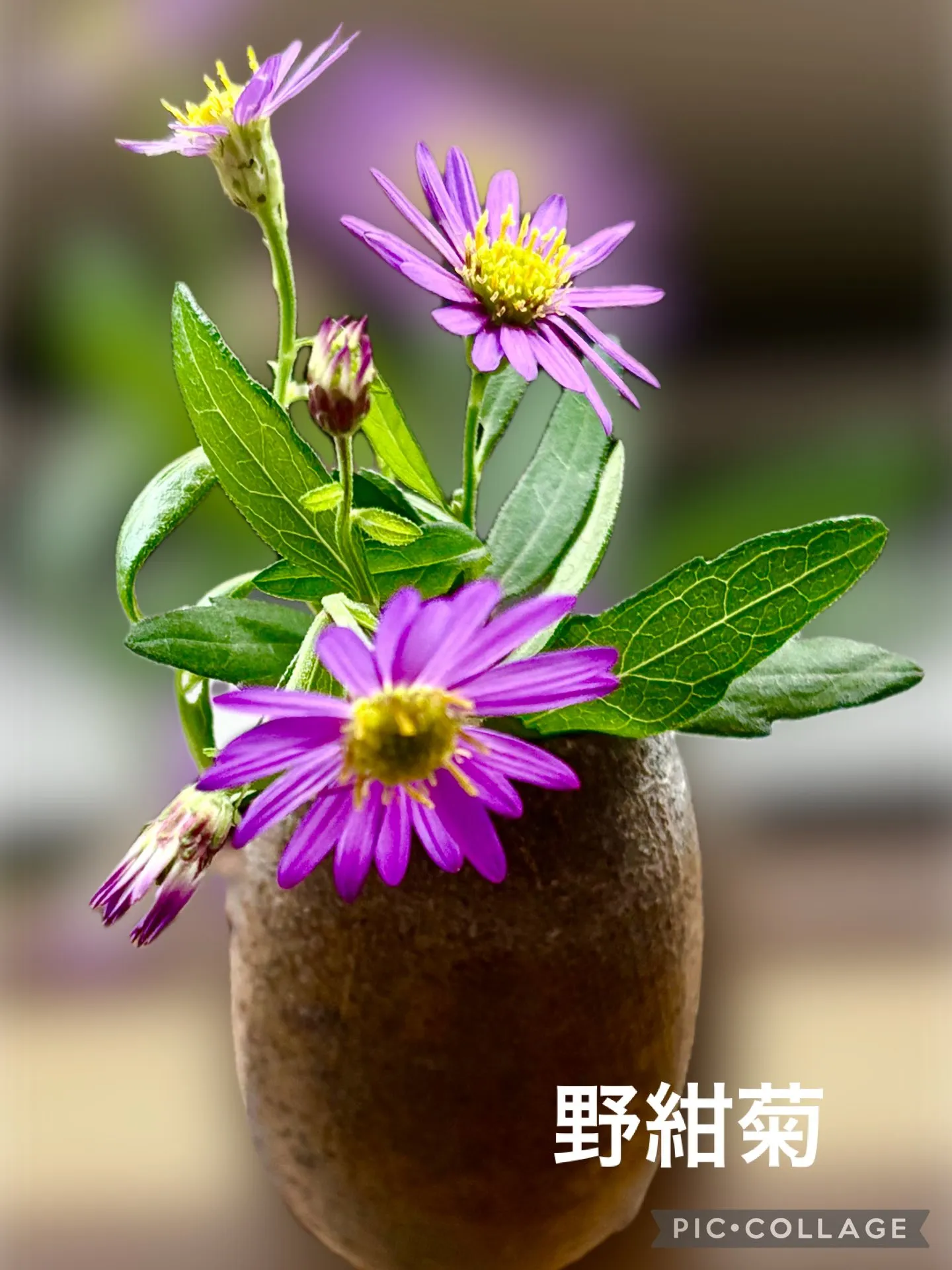 今日賄い🍚🥢