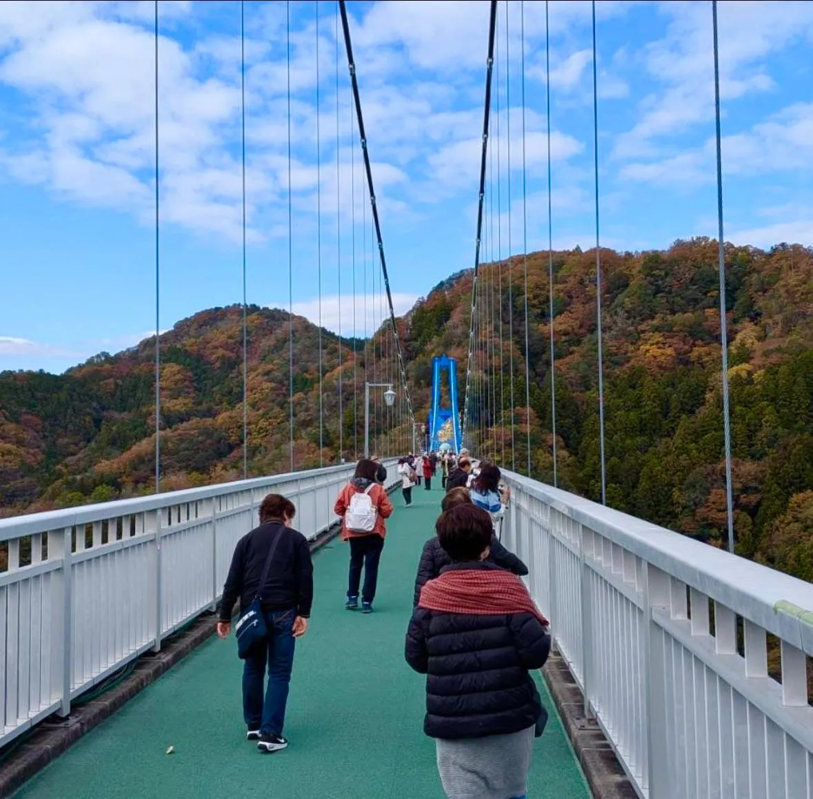 🍁急なお誘い受け紅葉狩り吊り橋渡り