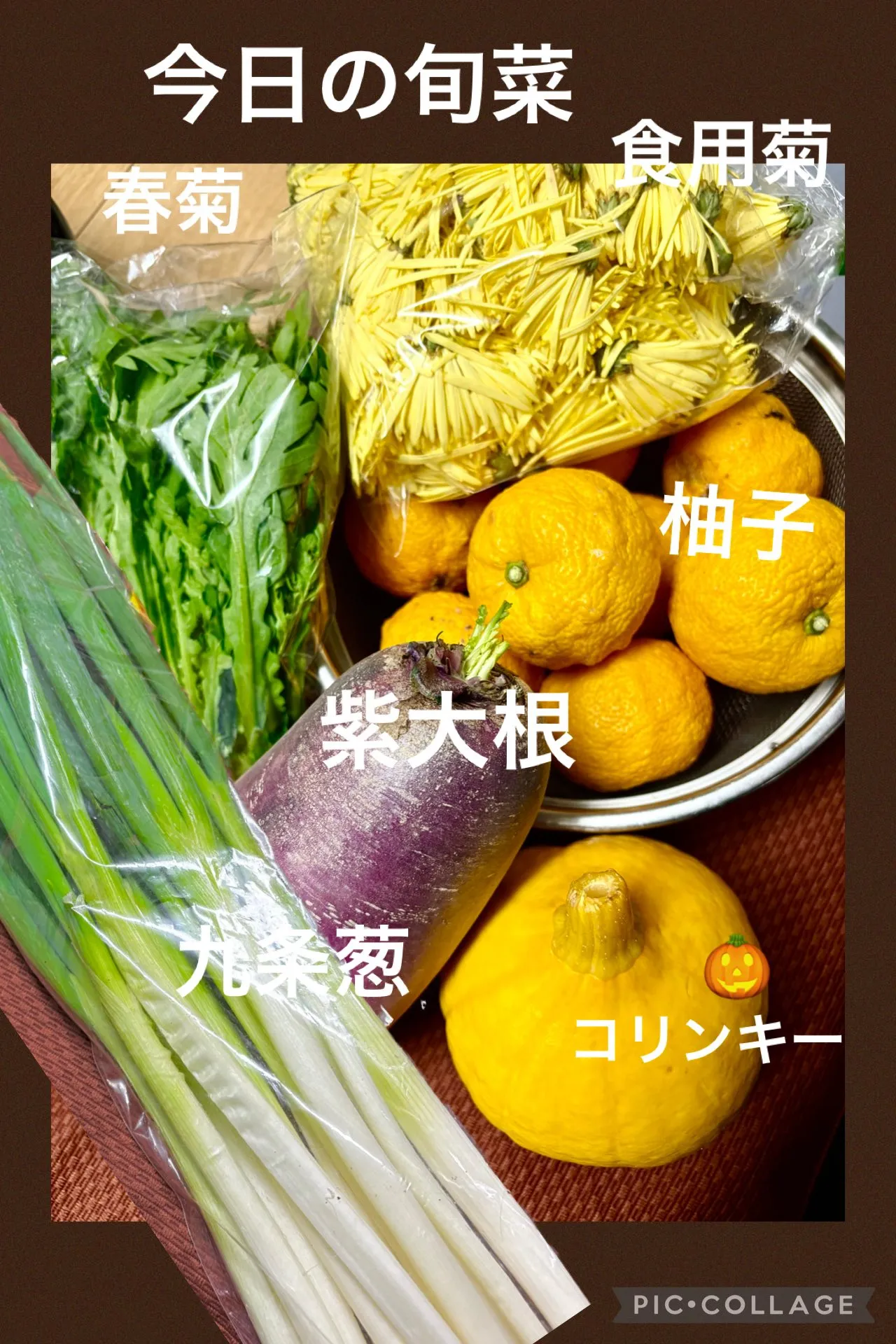 🍁急なお誘い受け紅葉狩り吊り橋渡り