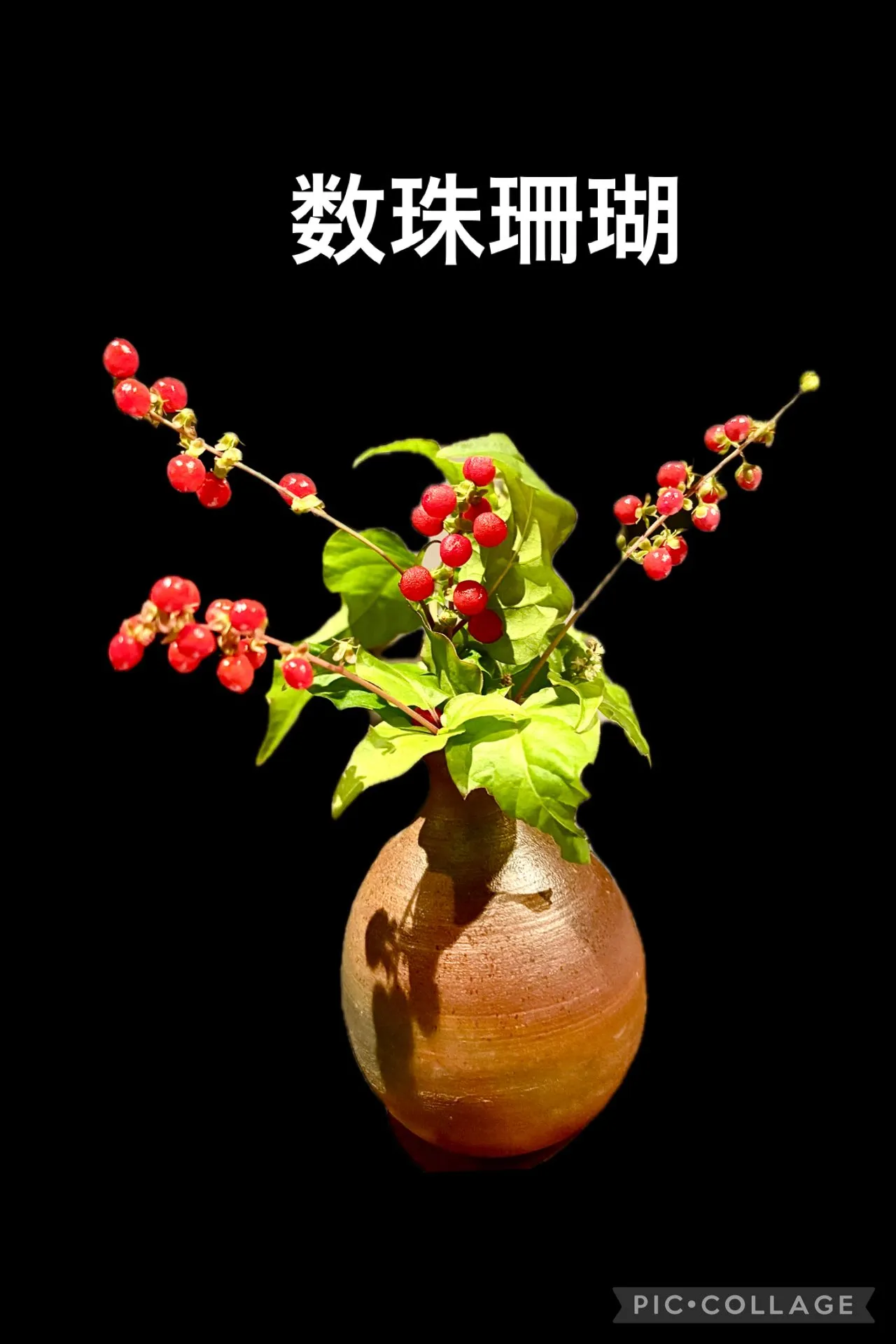 🥚奥久慈３種玉子味比べ