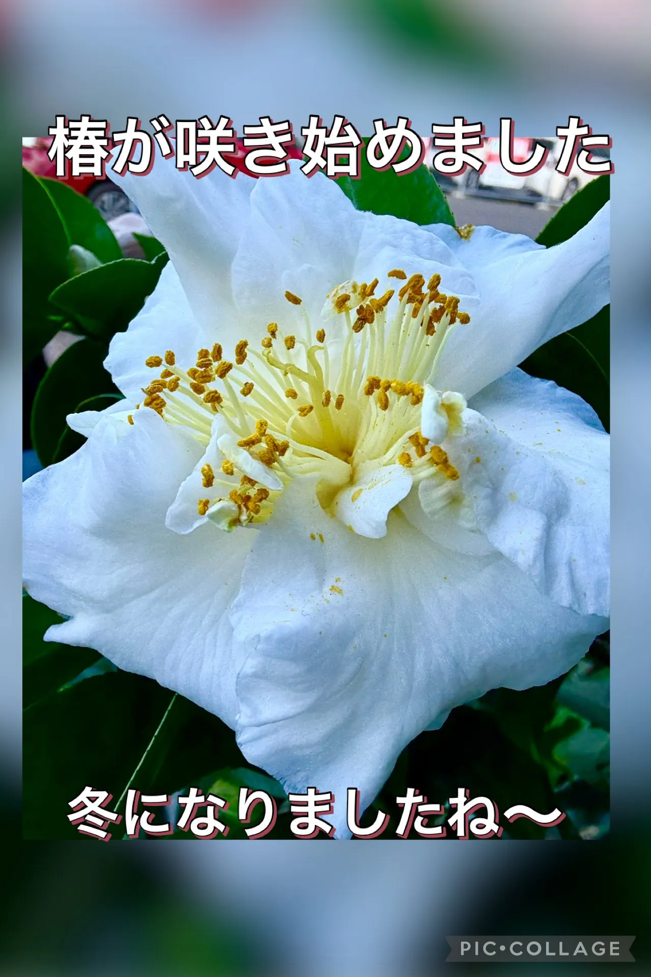 🍜今日の賄い飯もやし韮餡かけﾗｰﾒﾝ