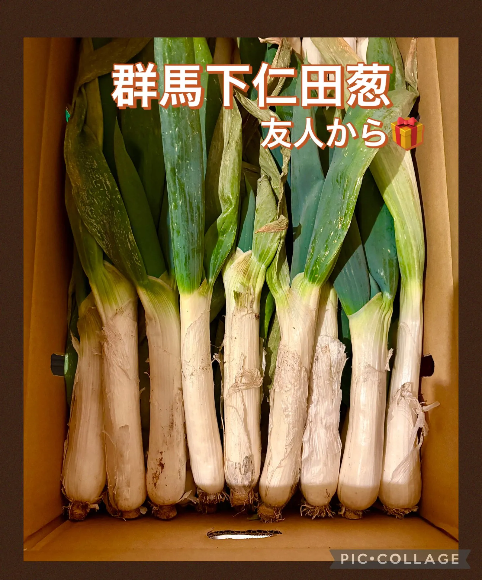 群馬から名産食材届きました