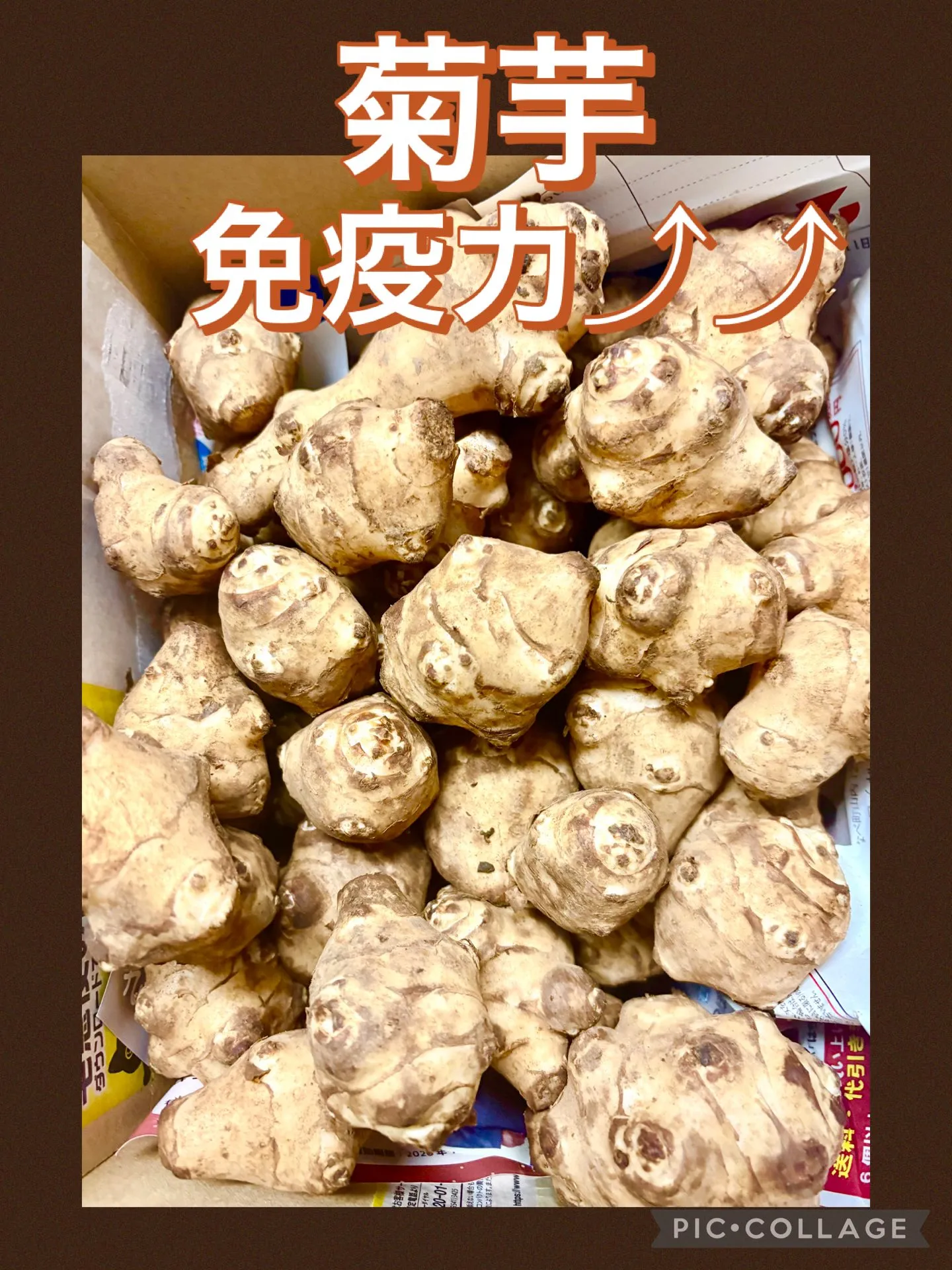 群馬から名産食材届きました