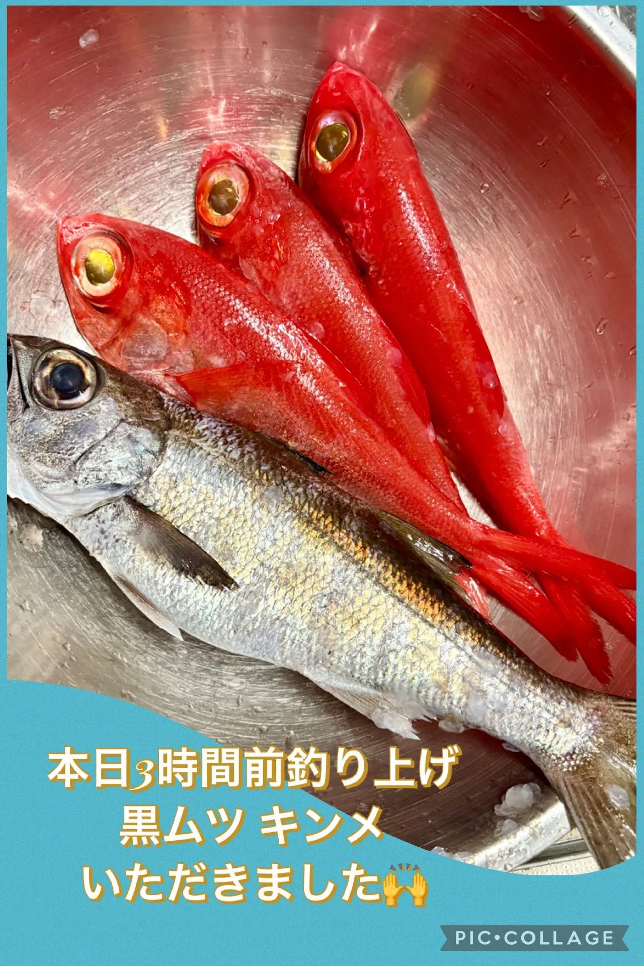 🐟黒ムツ＆キンキ