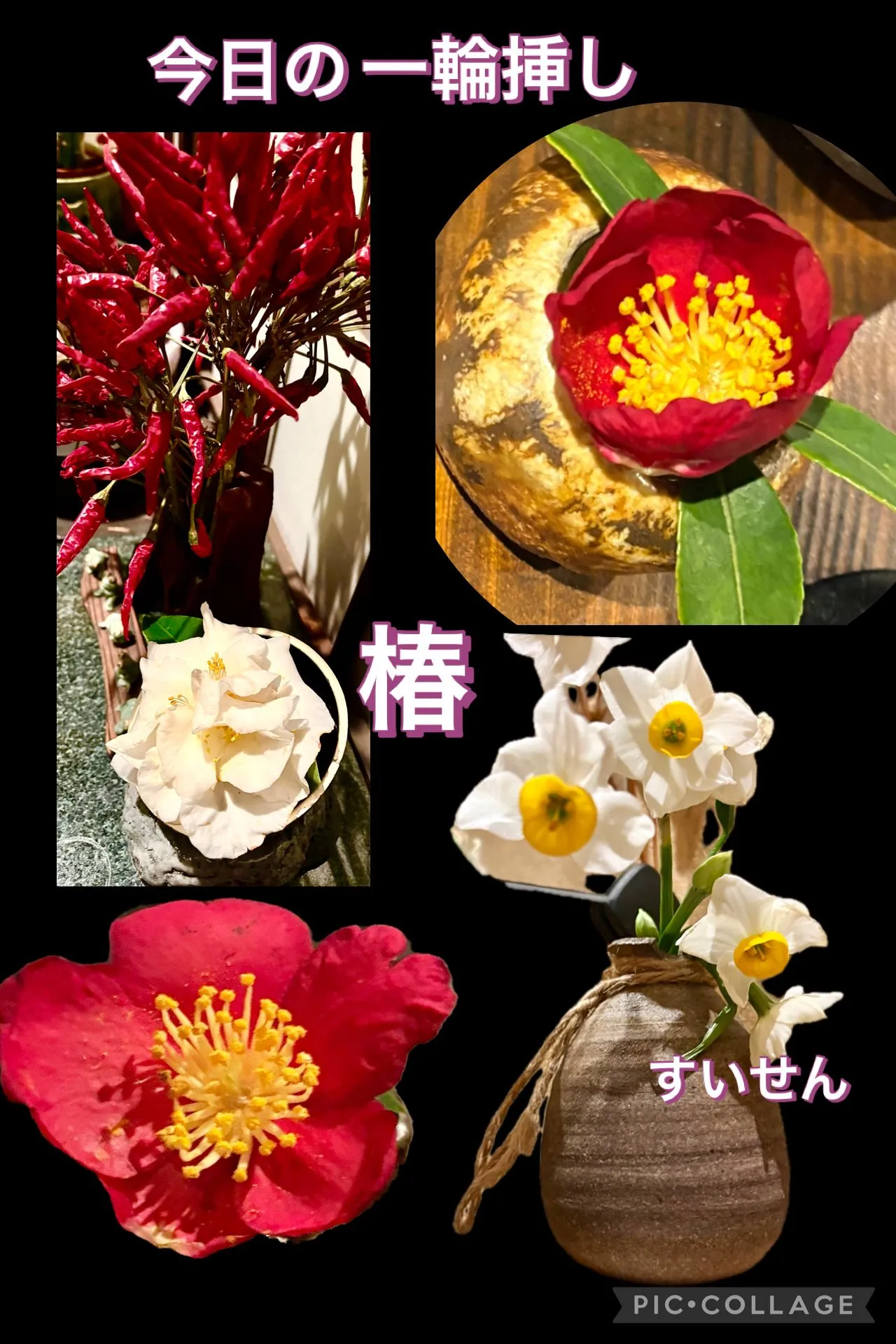 今日の賄い飯🍚🥢