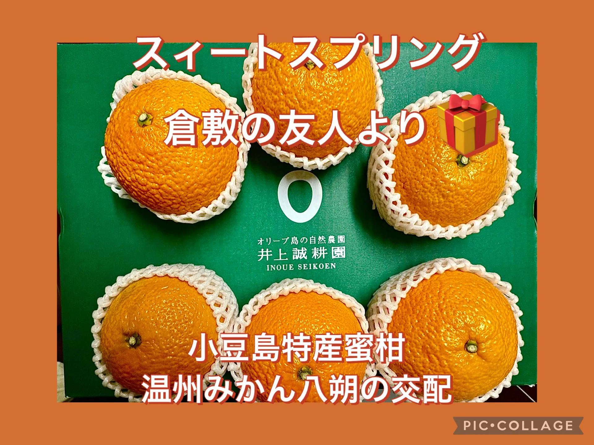 倉敷の友人から初もの