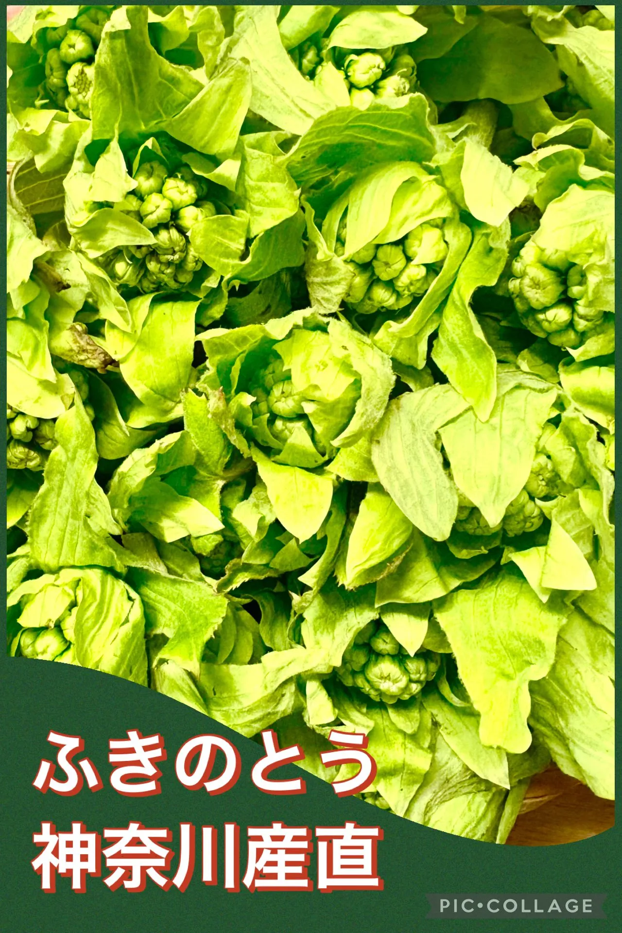🥣今日の賄い飯　🍅ﾁｰｽﾞリゾット