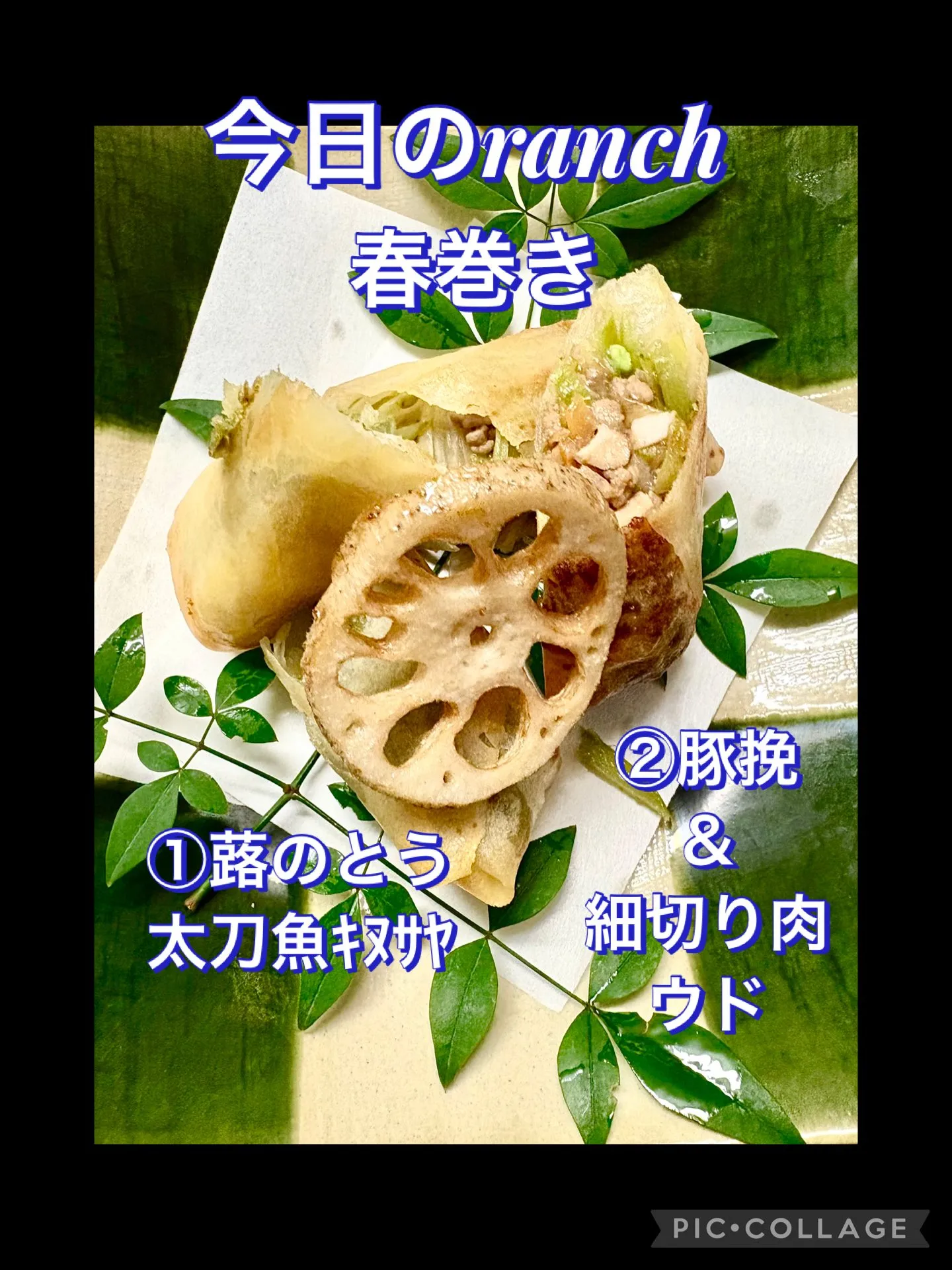 🍽️ランチの春巻き