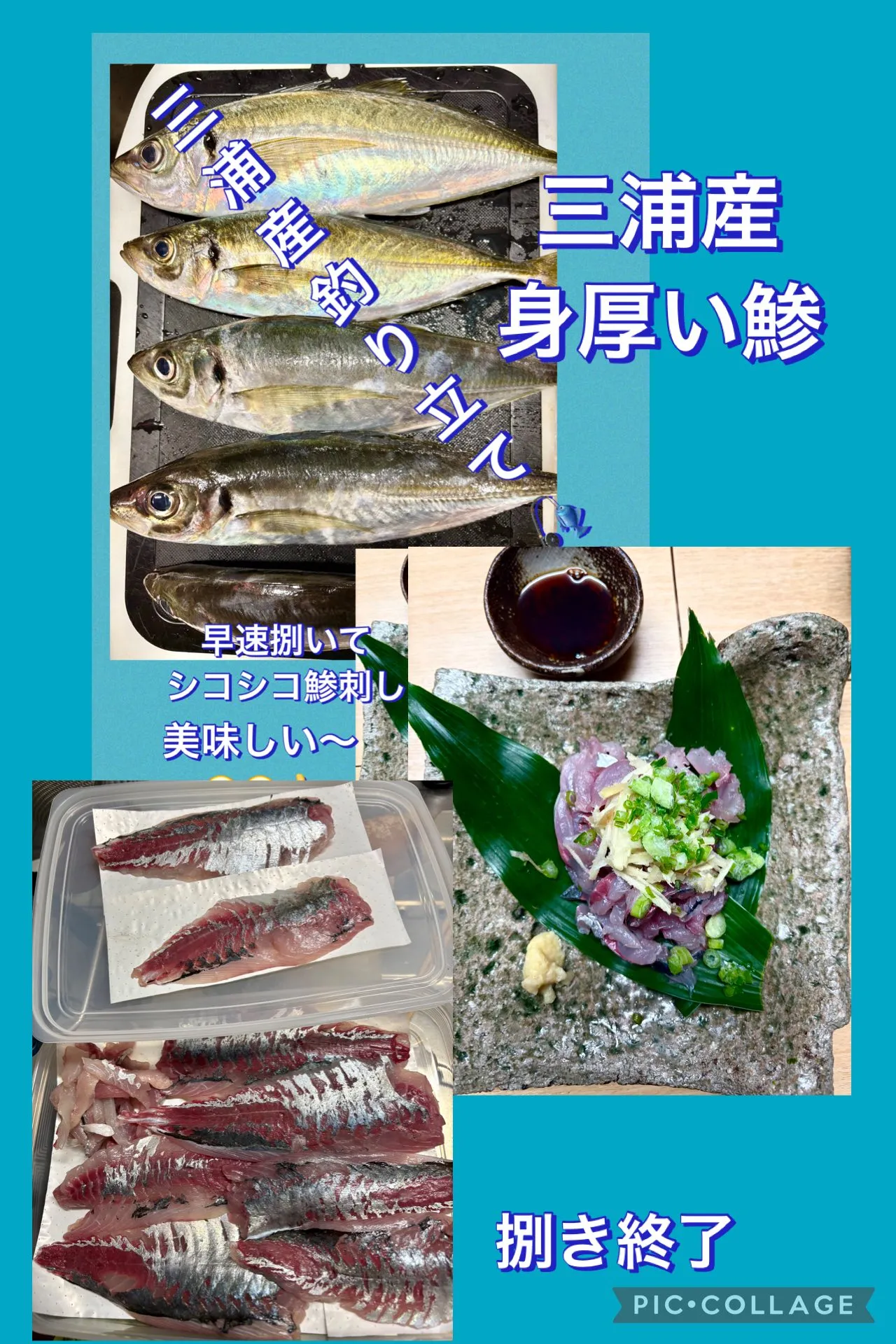 🐟三浦産身厚い立派な鯵を届けてもらいました🙌