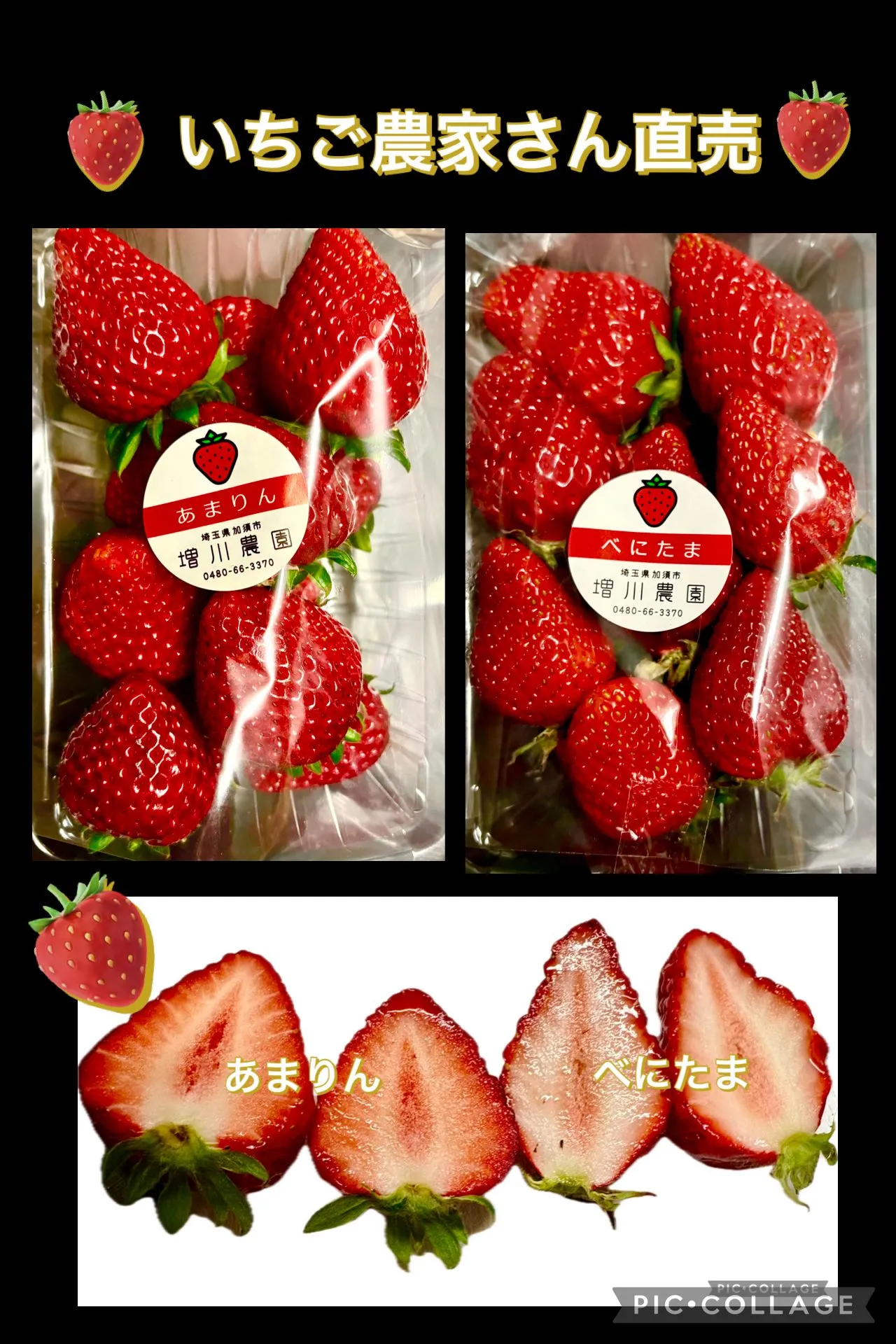 🫛🥬買い出しへ