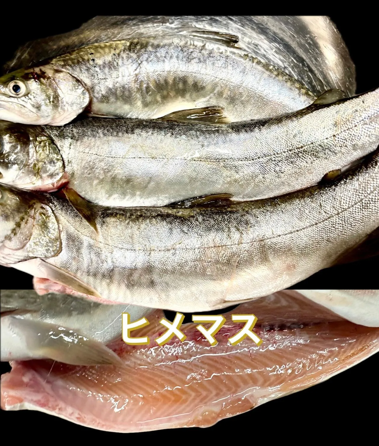 🍜今日の賄い🥢