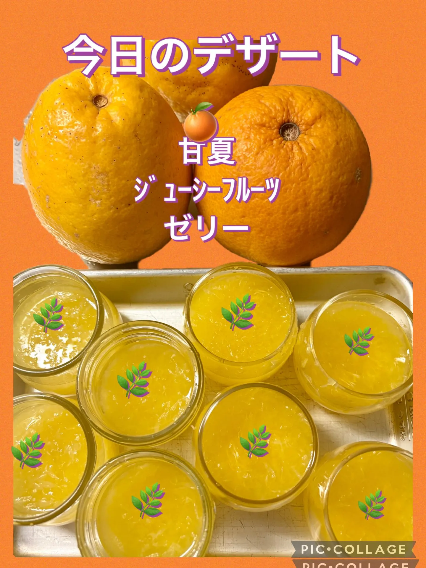 🍊今日のデザート甘夏ｼﾞｭｰｼｰﾌﾙｰﾂゼリー