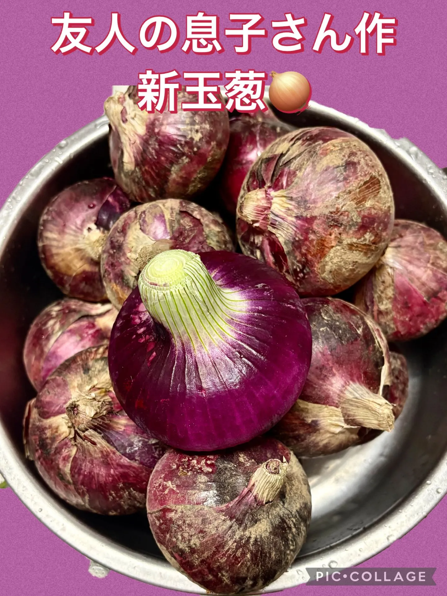 🥵暑い💦30度超えの賄い飯🥢