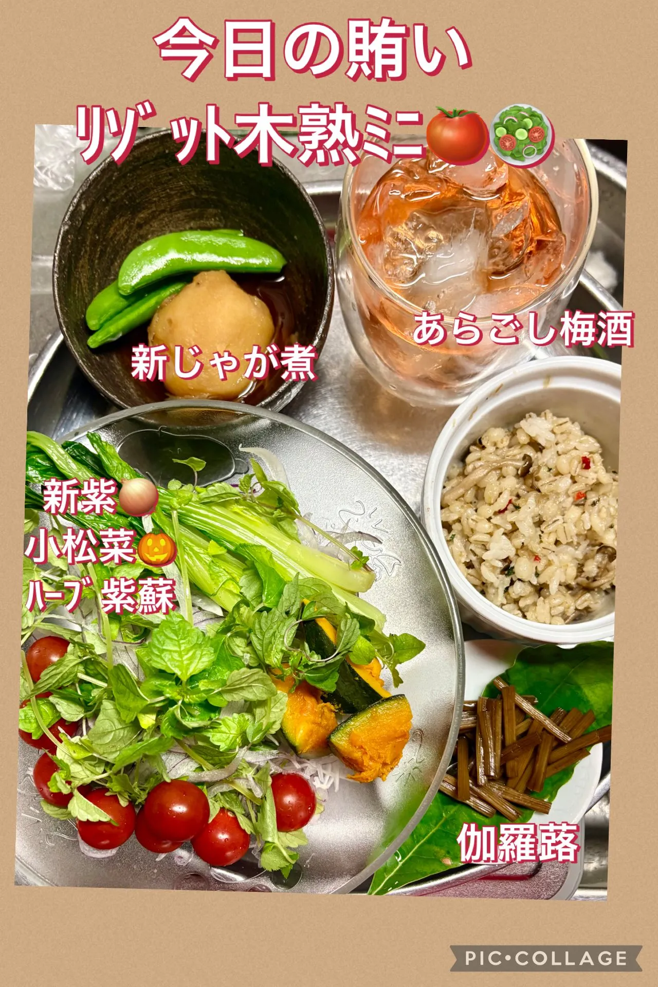 今日の賄い飯