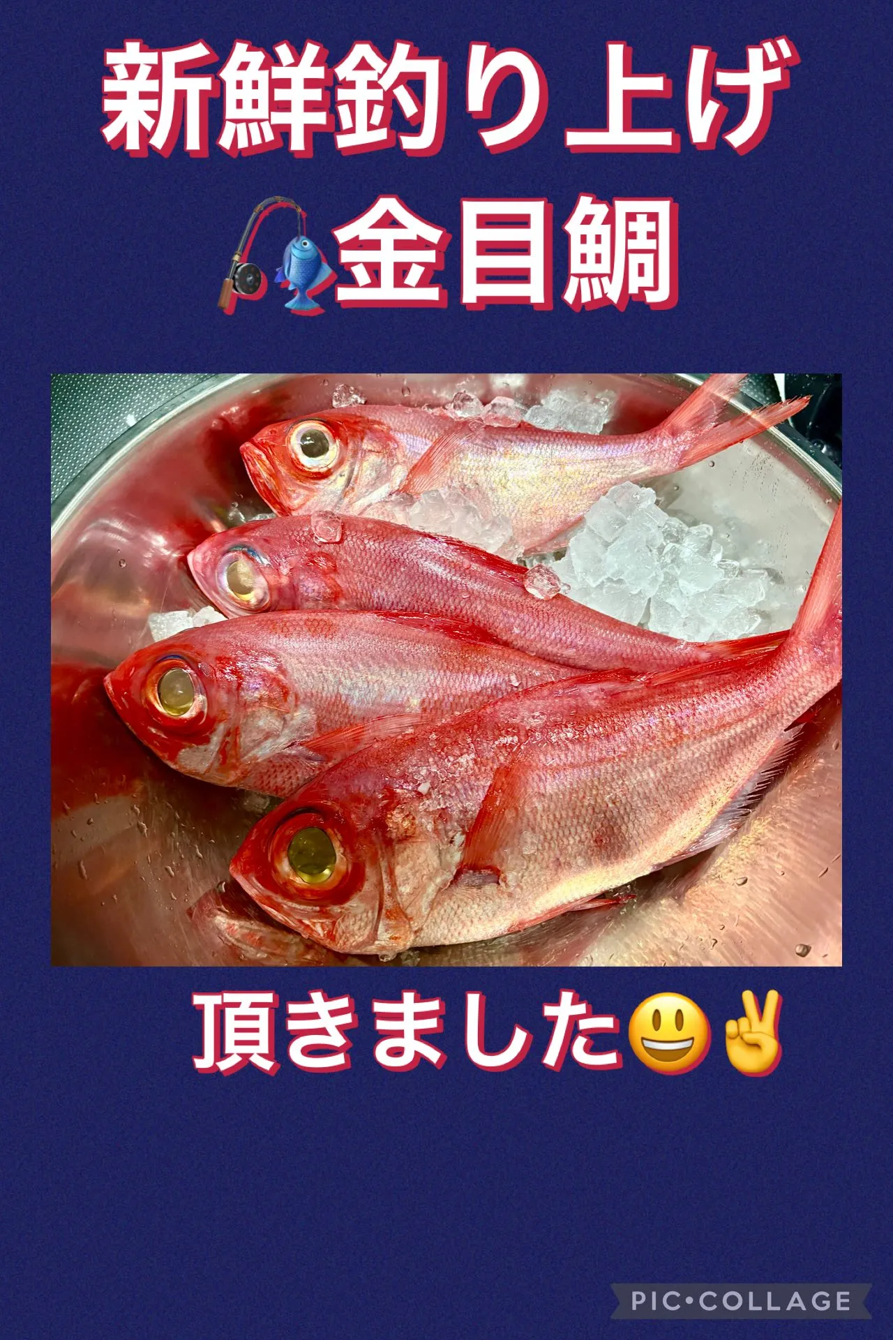 🎣釣り上げ活力金目鯛頂きました😃🙌