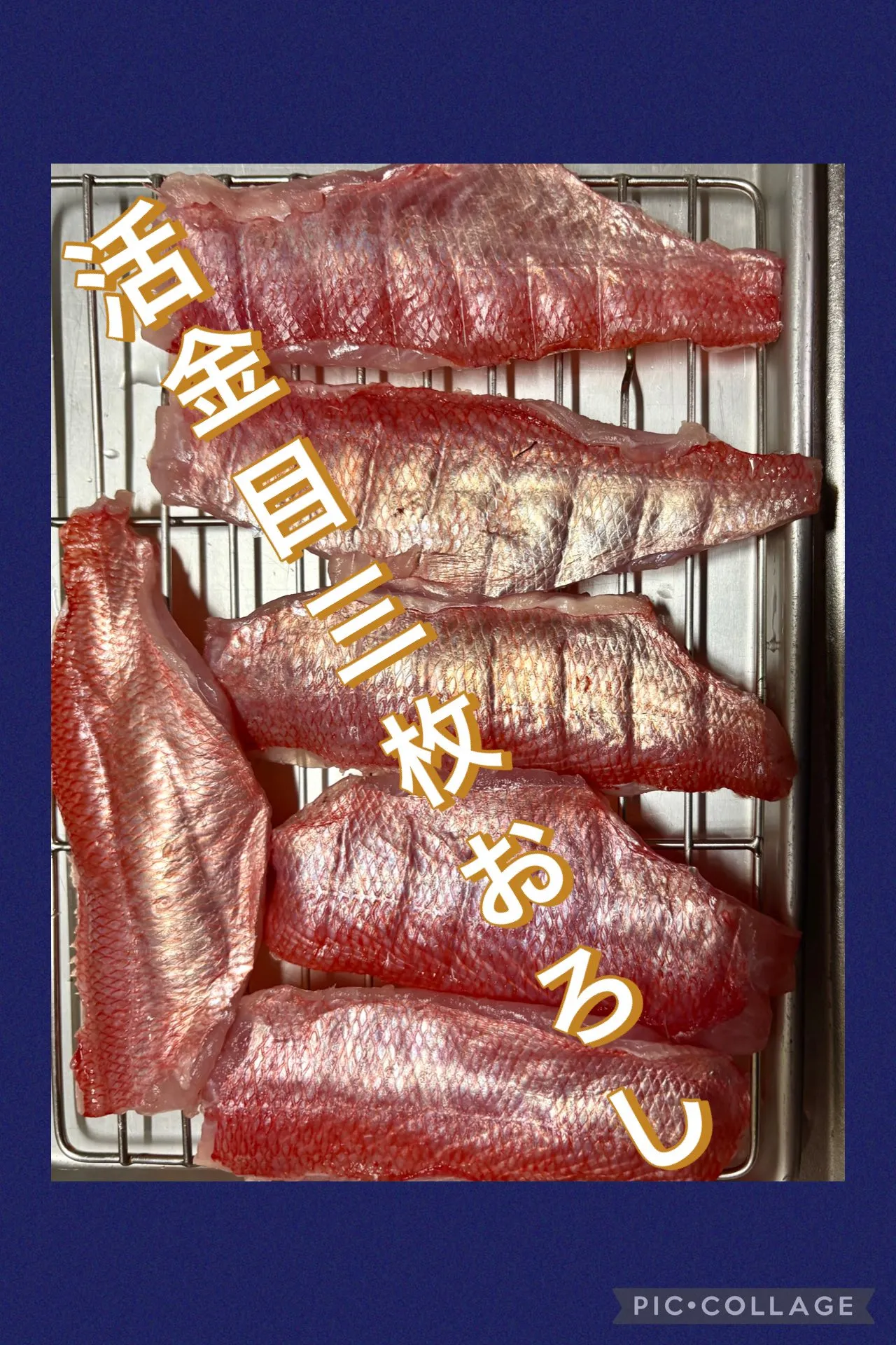 🎣釣り上げ活力金目鯛頂きました😃🙌