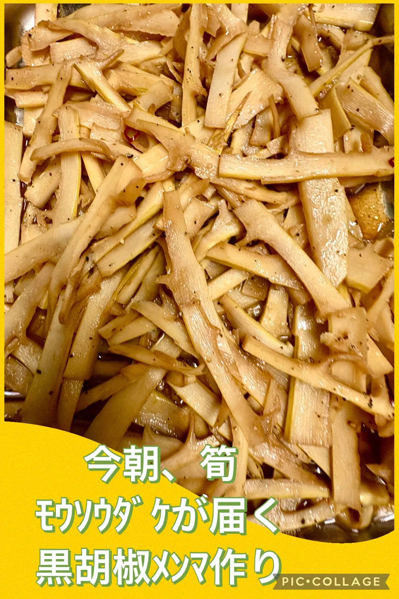 今朝友人からﾓｳｿｳ筍届き、メンマ作る