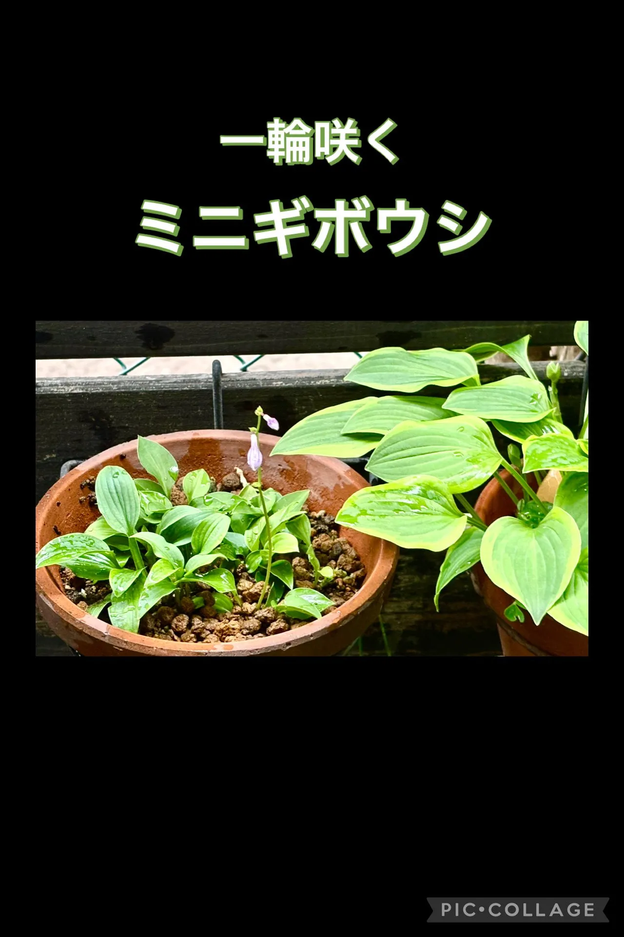 休日飯🥢