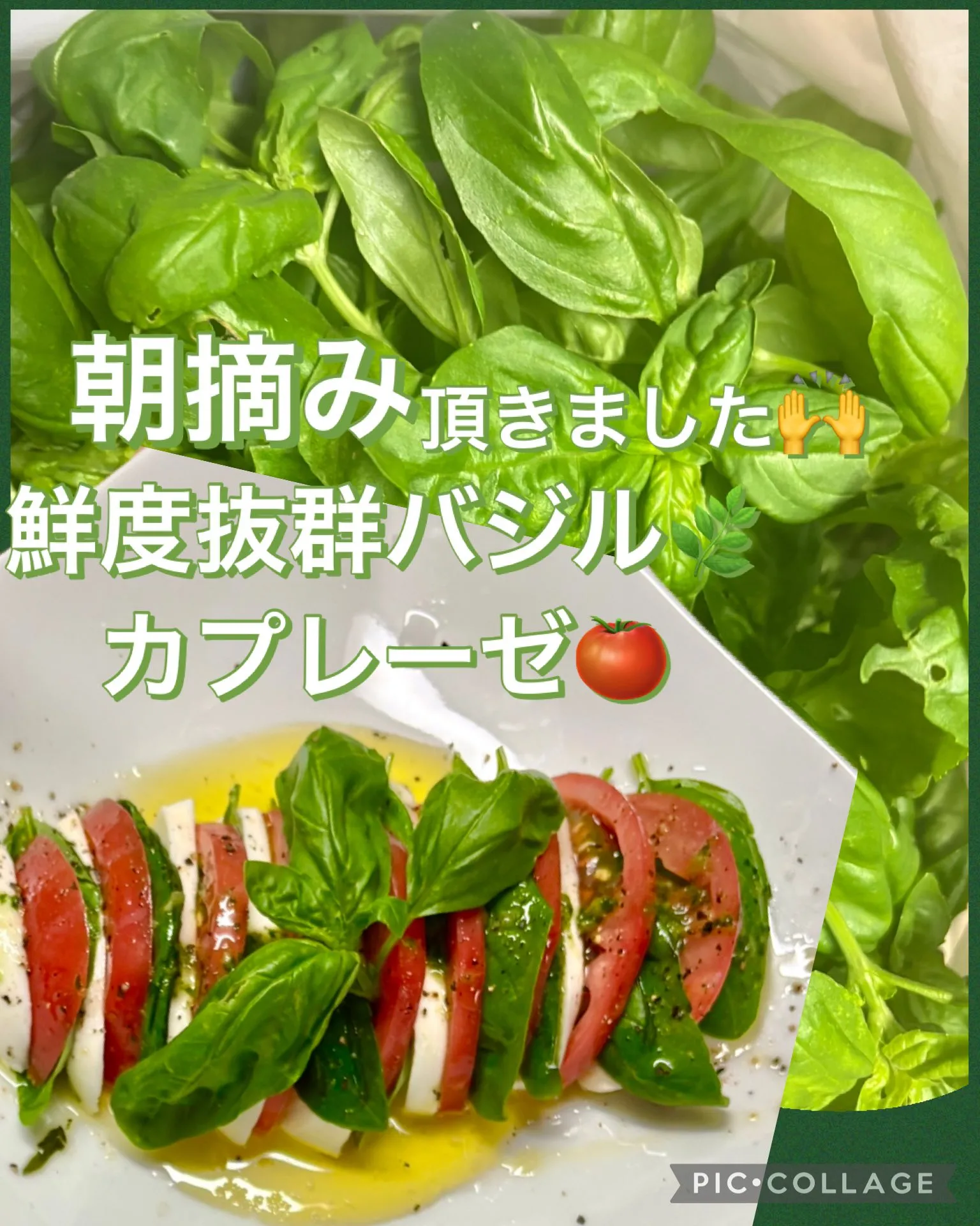🎉🎁友人から貴重な発酵ジンジャー届きました🎶